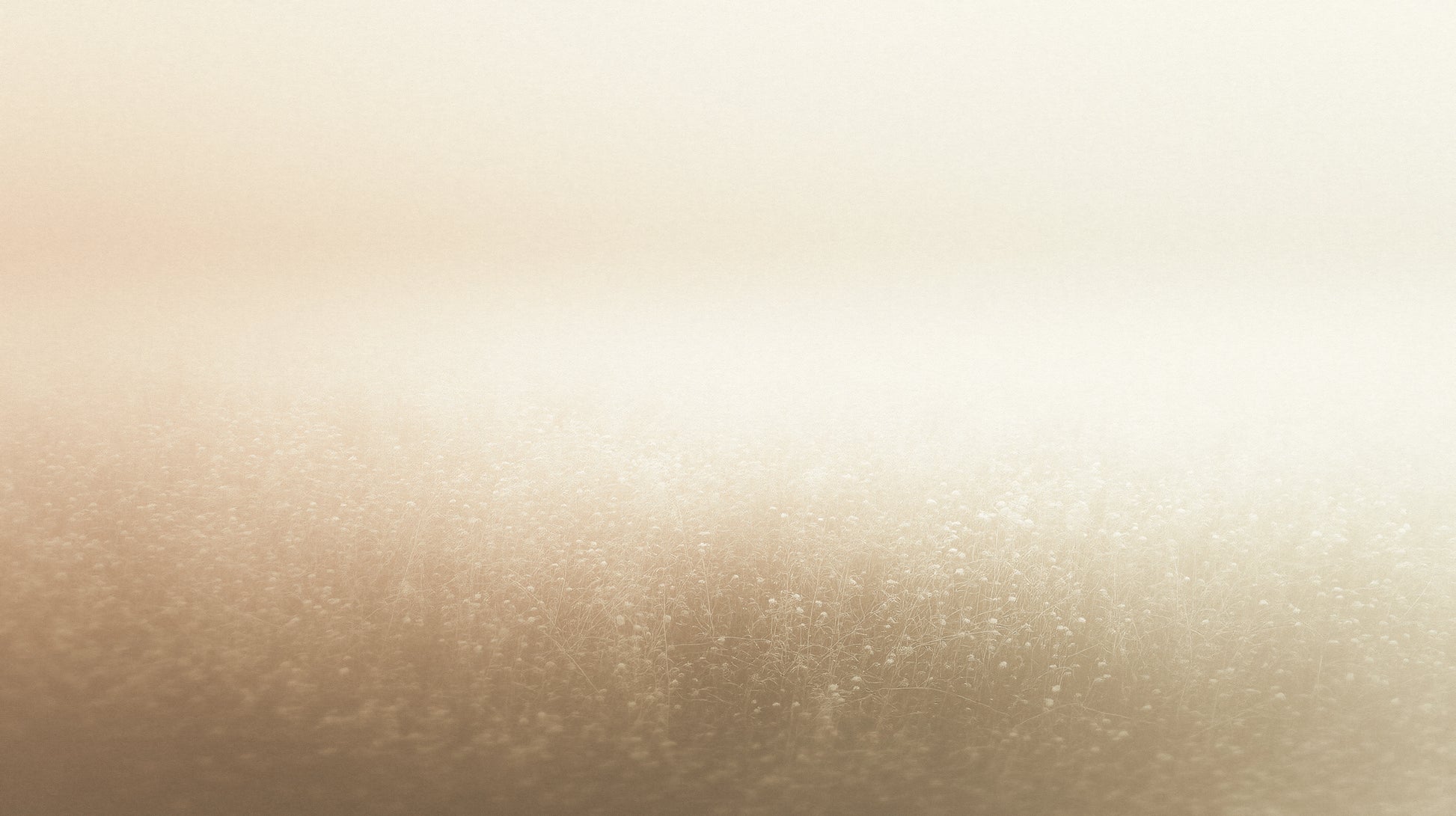 Prezentacja całego wzoru fototapety o nazwie GOLDEN MIST - tapeta z delikatną mglistą abstrakcją