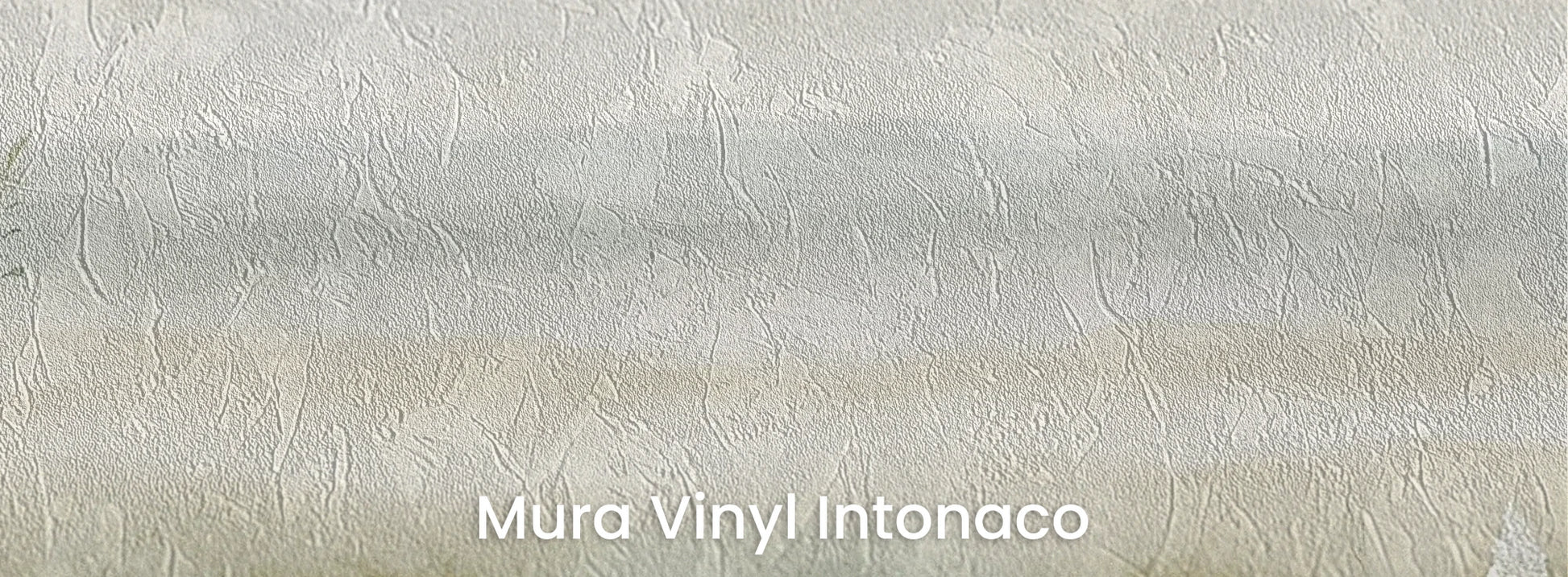 Zbliżenie na fototapetę DAWN'S EMBRACE - tapeta z mglistą łąką i kwiatami na podłożu o strukturze tartego tynku.