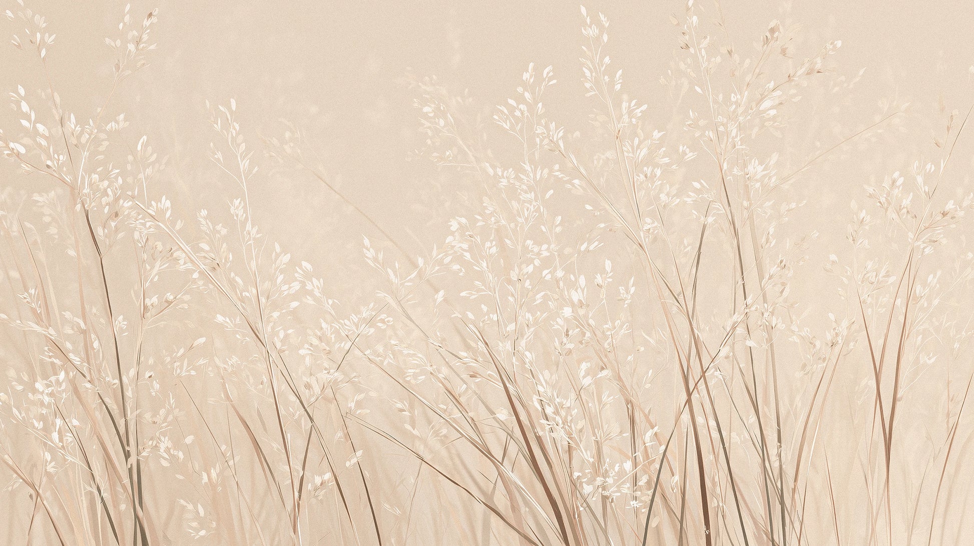 Prezentacja całego wzoru fototapety o nazwie DUSTY ROMANCE - tapeta z delikatnymi trawami na beżowym tle