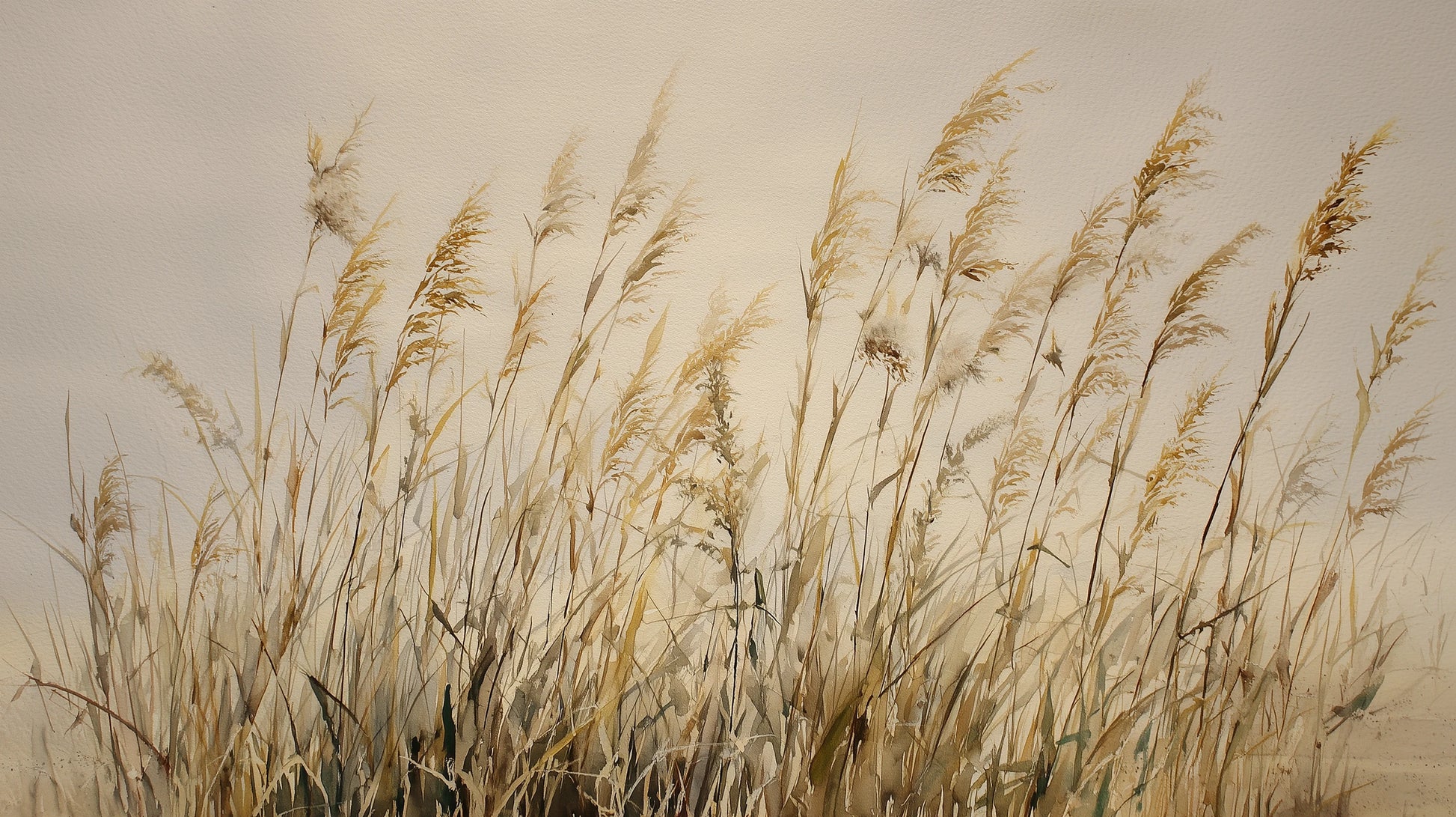 Prezentacja całego wzoru fototapety o nazwie DUNE BALLET - tapeta z beżowymi trawami w naturalnej kompozycji
