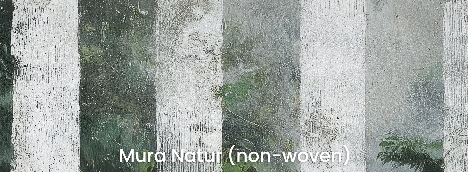 Zbliżenie na fototapetę BIRCH SHADOWS - tapeta z motywem leśnych brzóz we mgle na naturalnym podłożu ekologicznym.