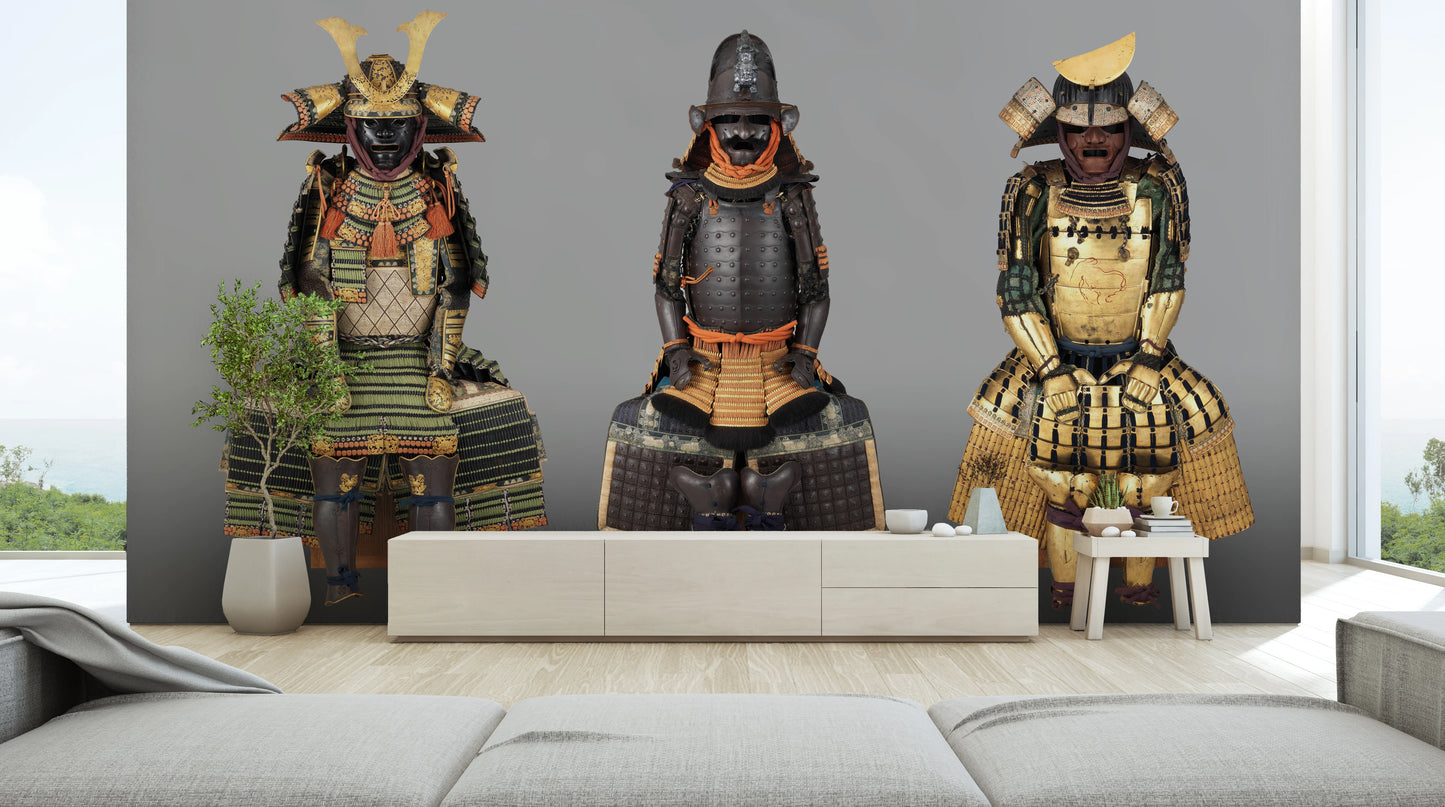 Japan Armors - Gusoku, Yoroi, Morohada-Nugi-Dō Gusoku, Nimaidō Gusoku, Haramaki - 1600-1800 - as photo wallpapers