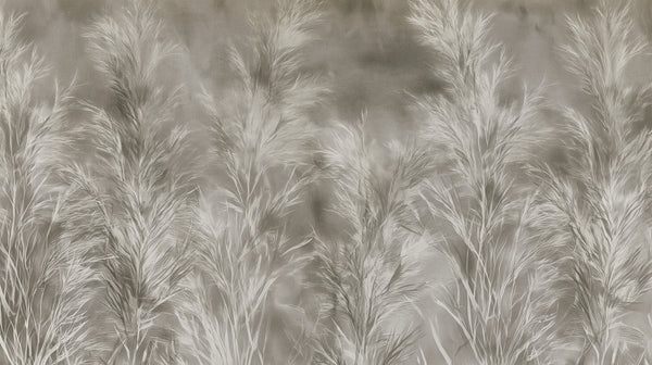 HOARFROST - carta da parati con erbe chiare su fondo grigio