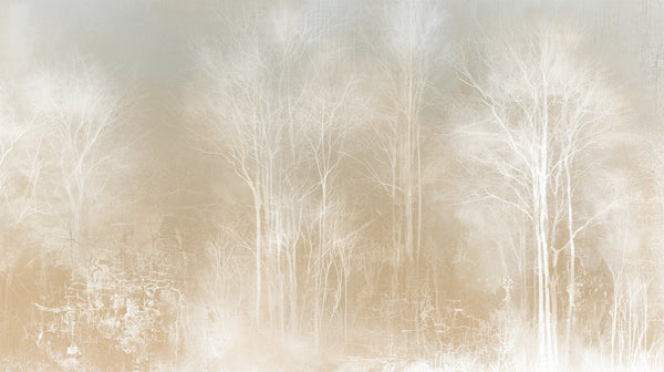 LACE THICKET - murale alberi bianchi nella nebbia per camera da letto