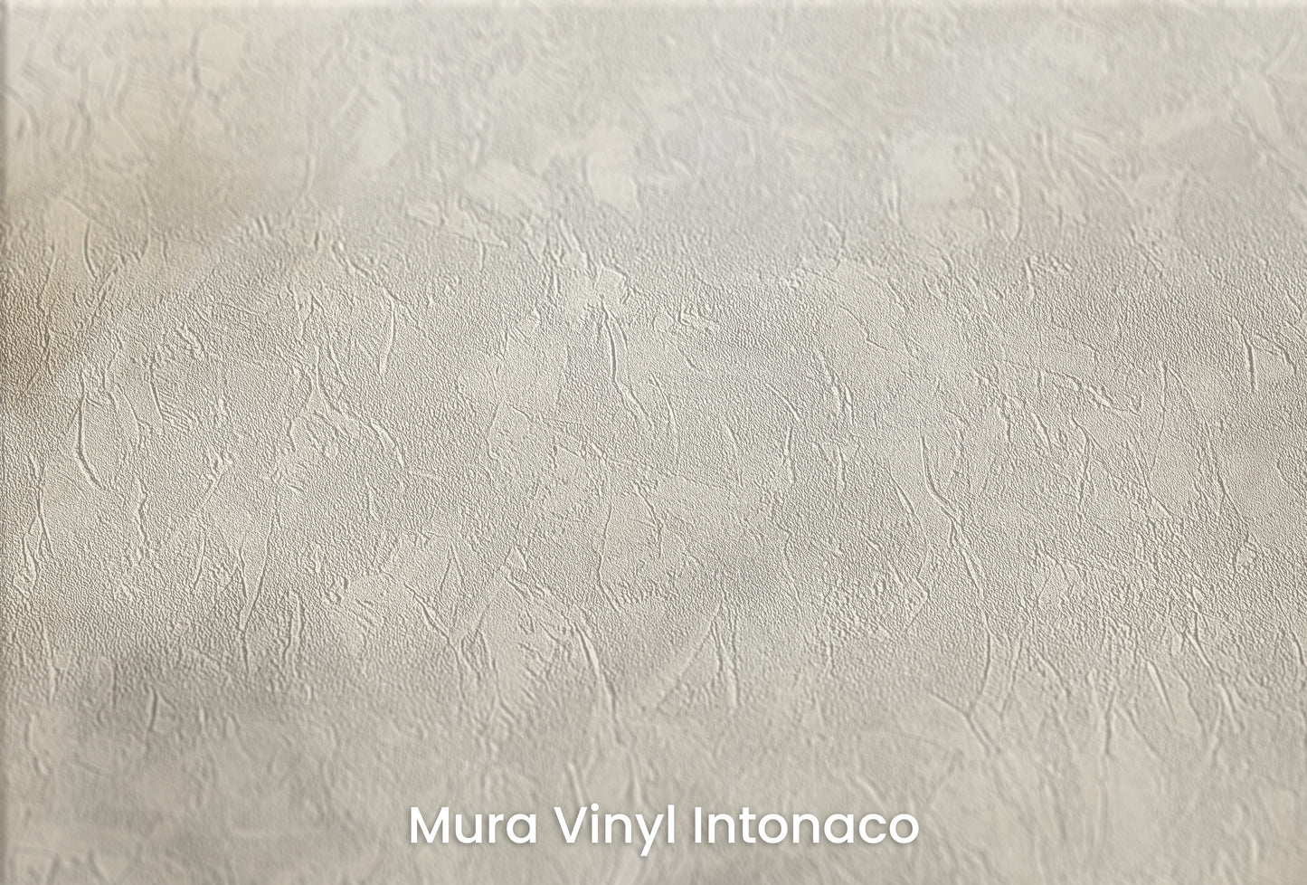 Zbliżenie na artystyczną fototapetę o nazwie SMOKE WHIRLS na podłożu Mura Vinyl Intonaco - struktura tartego tynku.
