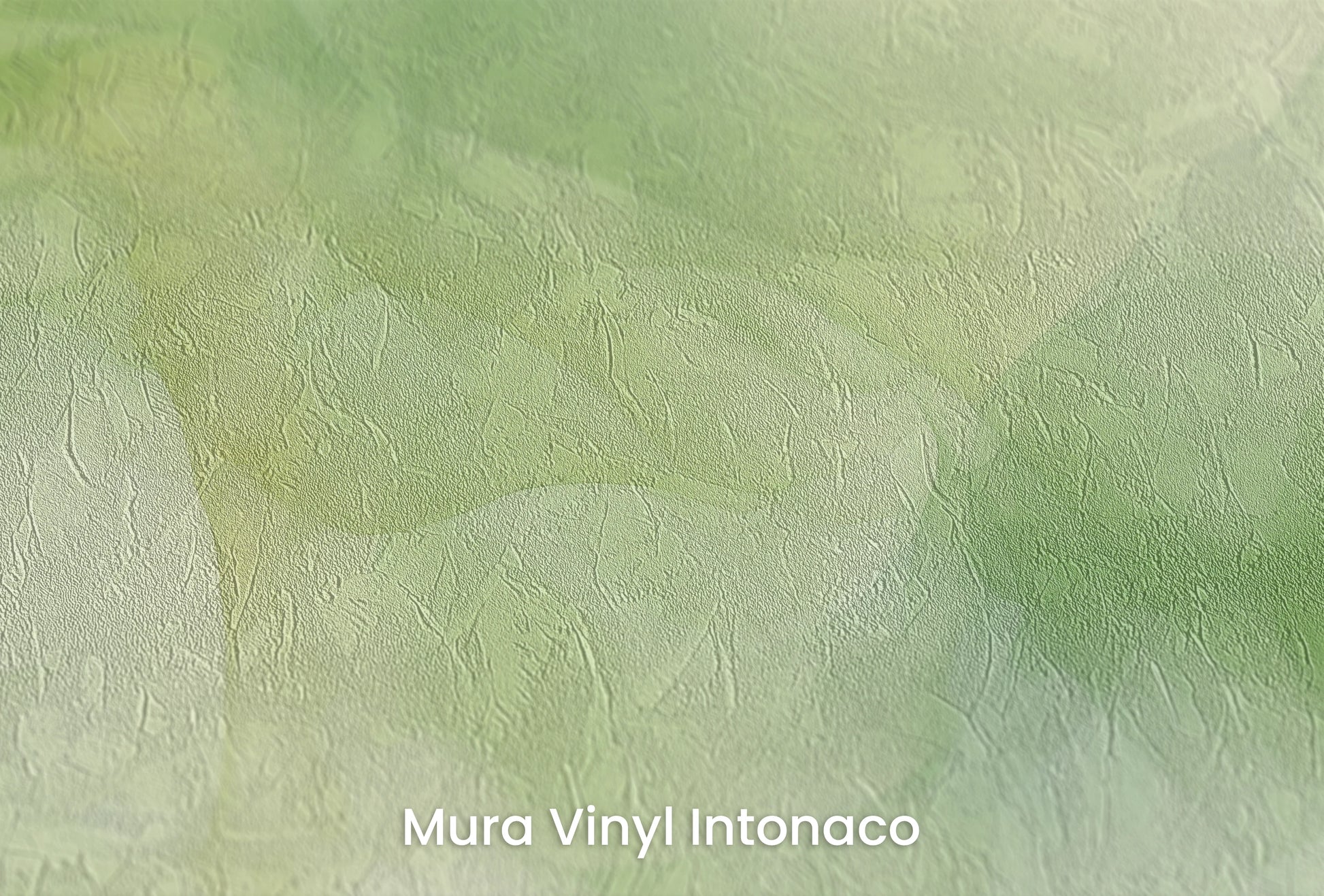 Zbliżenie na artystyczną fototapetę o nazwie Oddech Natury #2 na podłożu Mura Vinyl Intonaco - struktura tartego tynku.