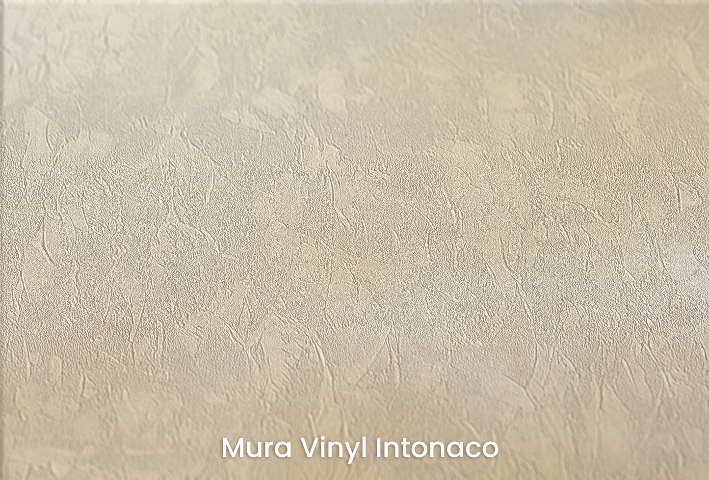 Zbliżenie na artystyczną fototapetę o nazwie GOLDEN DAWN SERENITY na podłożu Mura Vinyl Intonaco - struktura tartego tynku.
