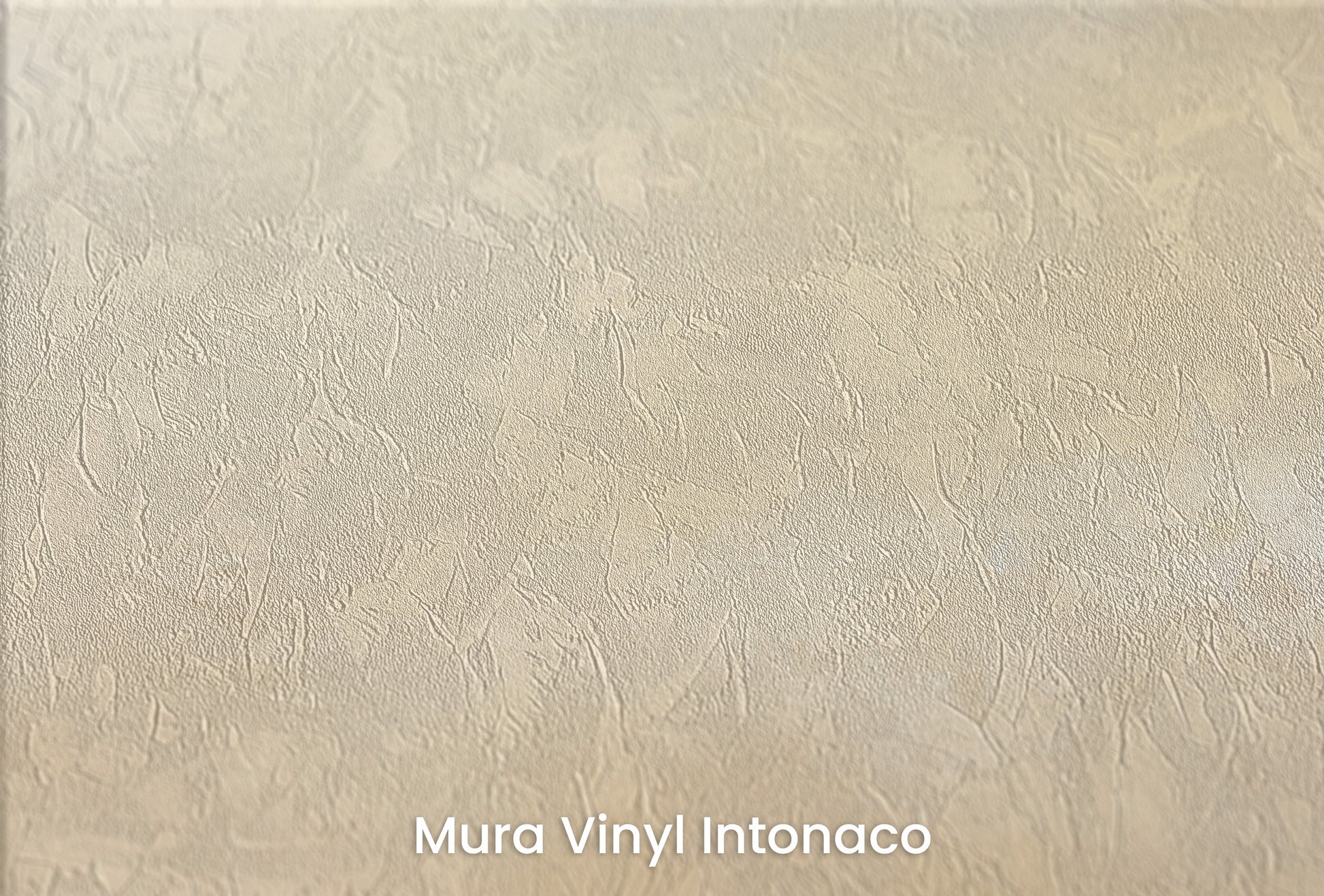 Zbliżenie na artystyczną fototapetę o nazwie GOLDEN DAWN SERENITY na podłożu Mura Vinyl Intonaco - struktura tartego tynku.