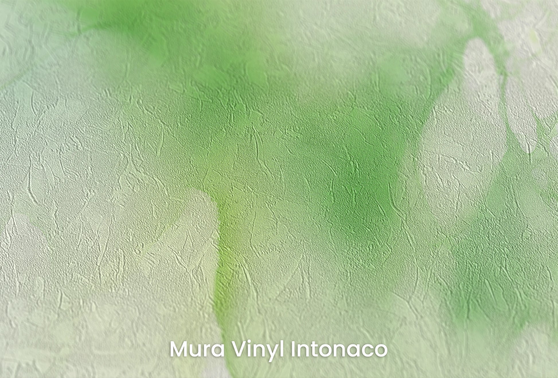 Zbliżenie na artystyczną fototapetę o nazwie Wiosenny Powiew na podłożu Mura Vinyl Intonaco - struktura tartego tynku.