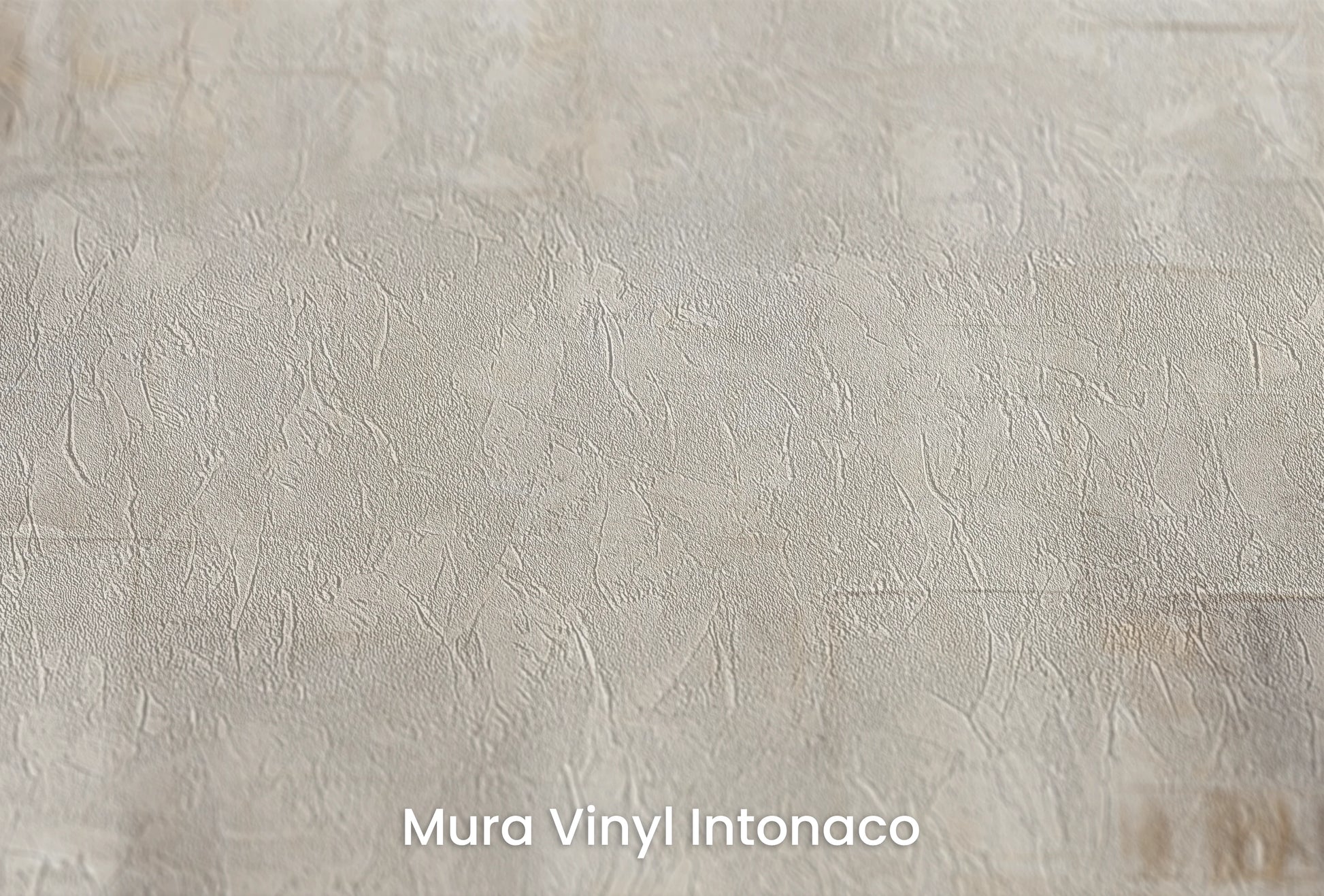 Zbliżenie na artystyczną fototapetę o nazwie Abstract Canvas na podłożu Mura Vinyl Intonaco - struktura tartego tynku.