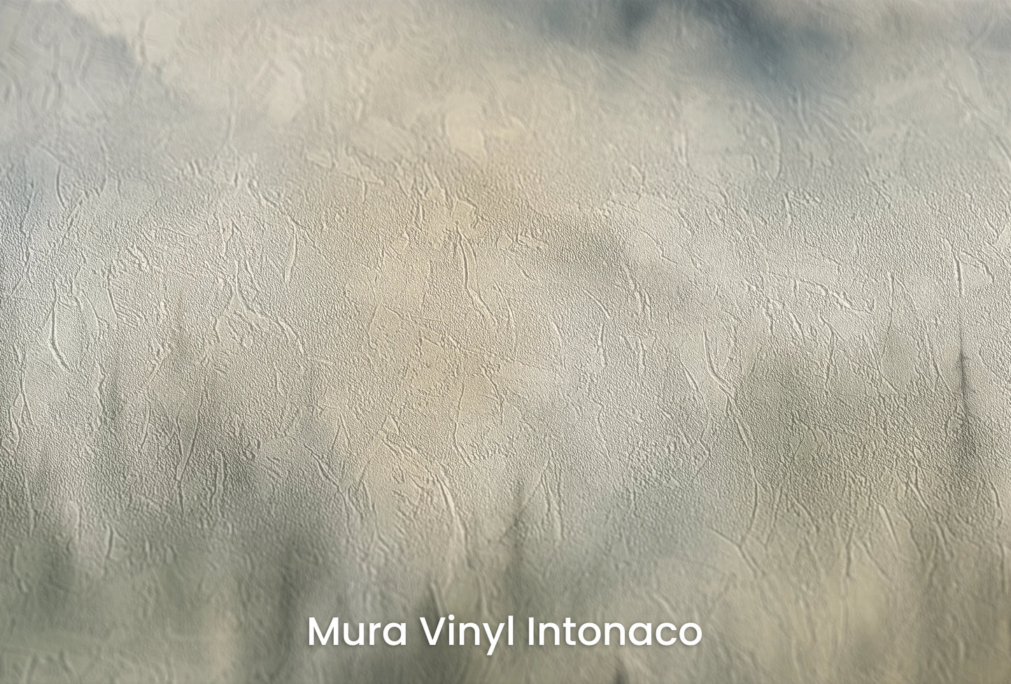 Zbliżenie na artystyczną fototapetę o nazwie Misty Dawn na podłożu Mura Vinyl Intonaco - struktura tartego tynku.
