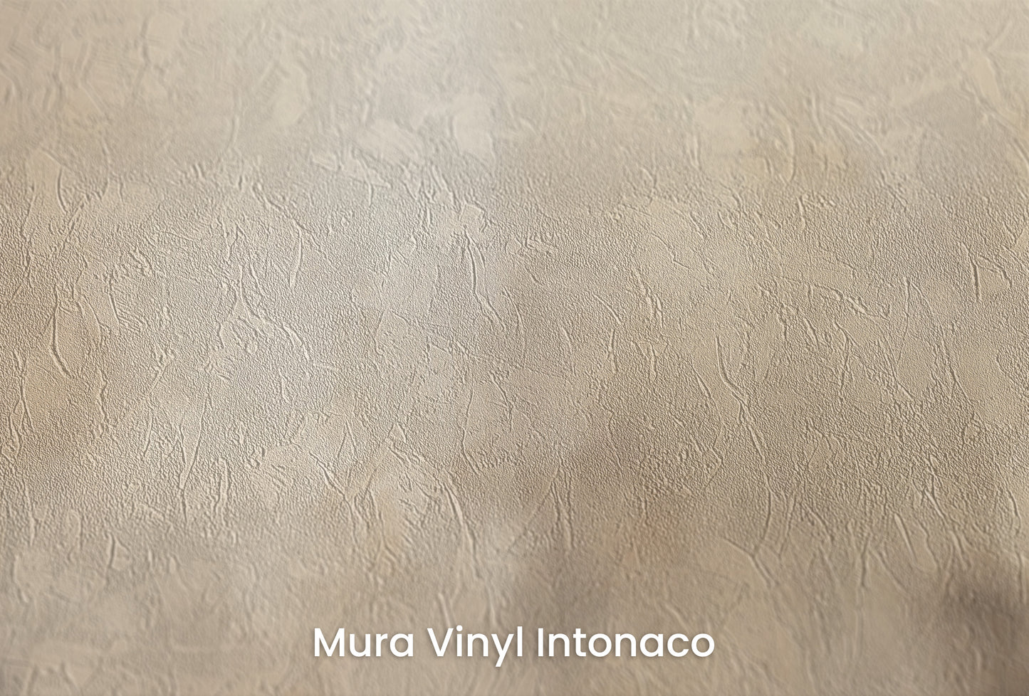Zbliżenie na artystyczną fototapetę o nazwie MISTY FOREST MURAL na podłożu Mura Vinyl Intonaco - struktura tartego tynku.