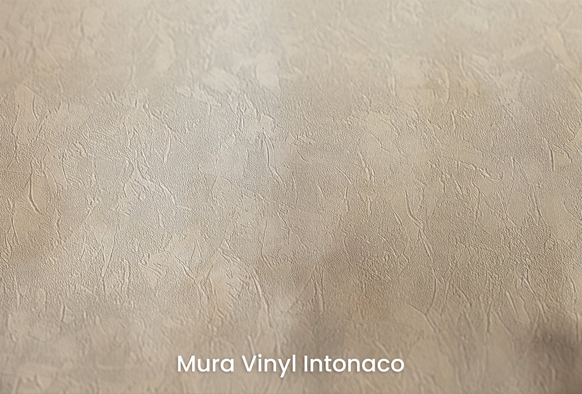 Zbliżenie na artystyczną fototapetę o nazwie MISTY FOREST MURAL na podłożu Mura Vinyl Intonaco - struktura tartego tynku.