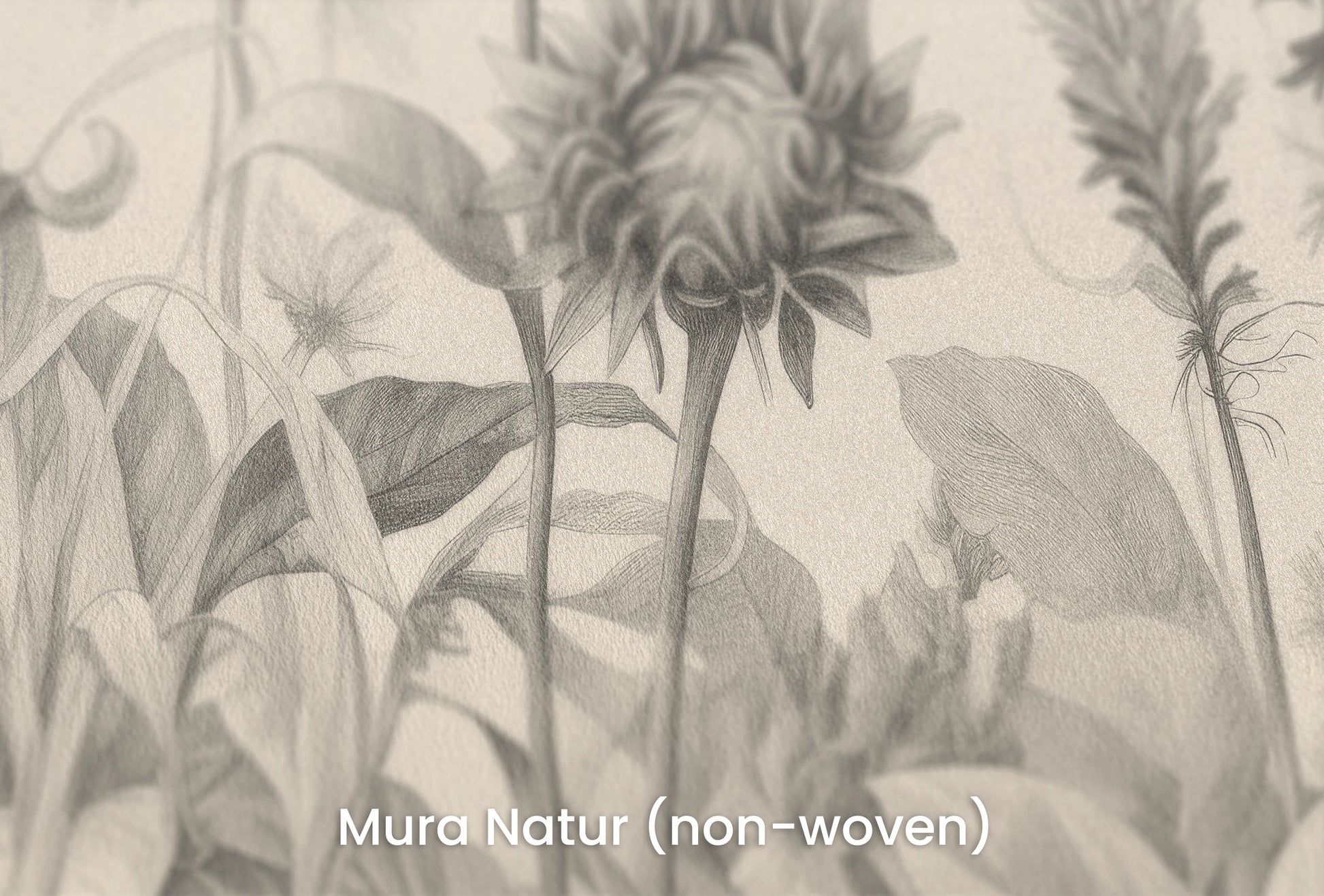 Zbliżenie na artystyczną fototapetę o nazwie Botanical Etchings na podłożu Mura Natur (non-woven) - naturalne i ekologiczne podłoże.