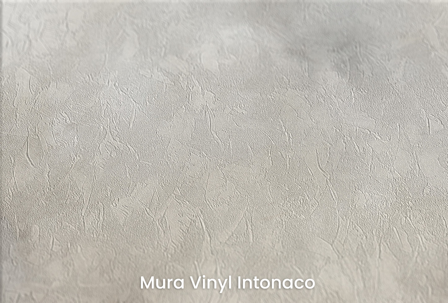Zbliżenie na artystyczną fototapetę o nazwie MYSTIC VEIL SHROUD na podłożu Mura Vinyl Intonaco - struktura tartego tynku.