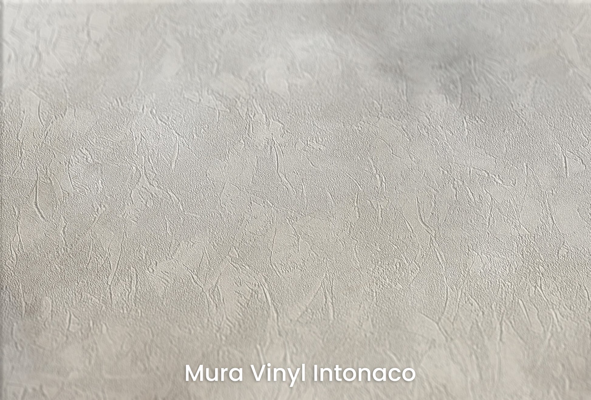 Zbliżenie na artystyczną fototapetę o nazwie MYSTIC VEIL SHROUD na podłożu Mura Vinyl Intonaco - struktura tartego tynku.
