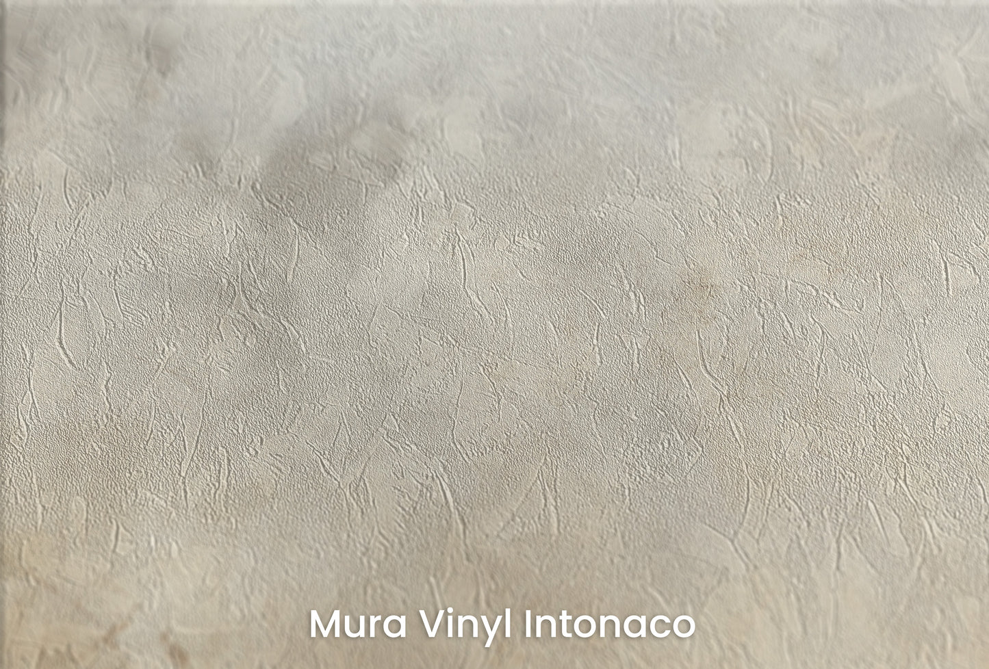 Zbliżenie na artystyczną fototapetę o nazwie TIMELESS WHISPER WINDS na podłożu Mura Vinyl Intonaco - struktura tartego tynku.