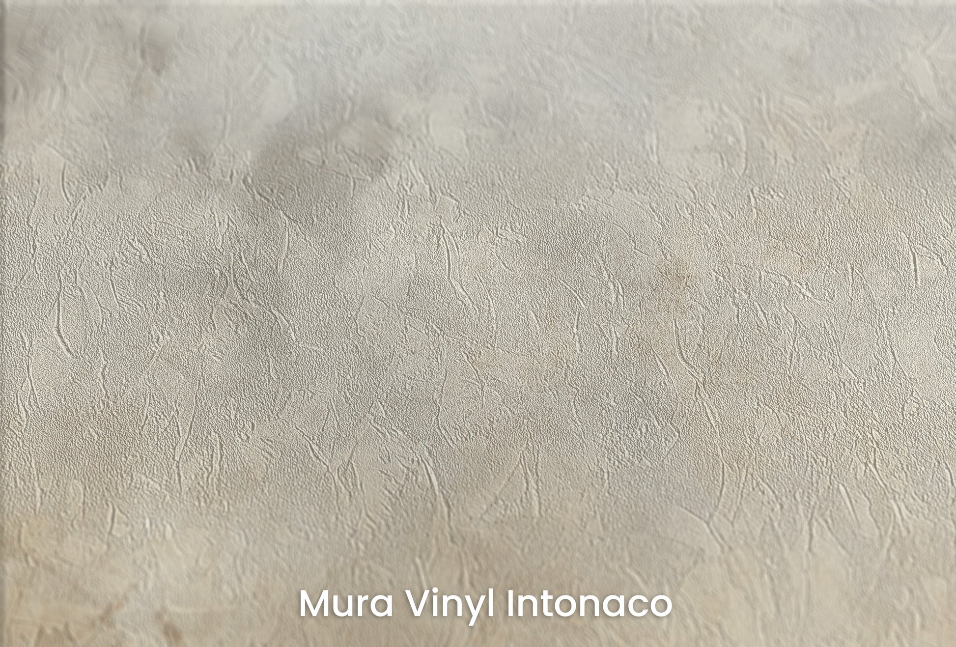 Zbliżenie na artystyczną fototapetę o nazwie TIMELESS WHISPER WINDS na podłożu Mura Vinyl Intonaco - struktura tartego tynku.