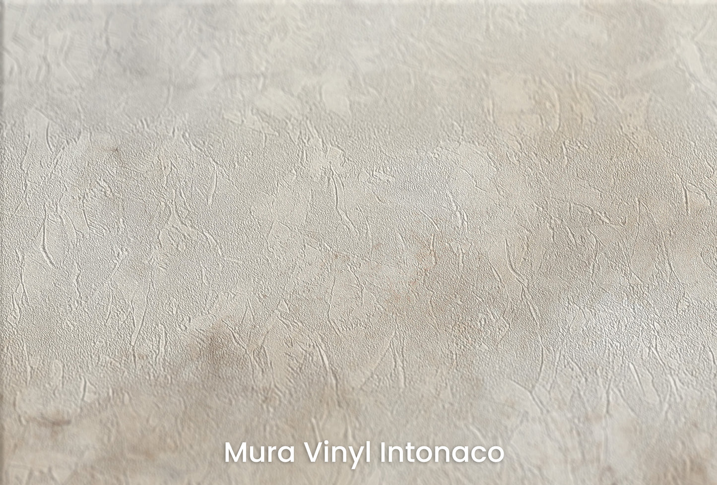 Zbliżenie na artystyczną fototapetę o nazwie HORIZON'S BREATH CANVAS na podłożu Mura Vinyl Intonaco - struktura tartego tynku.