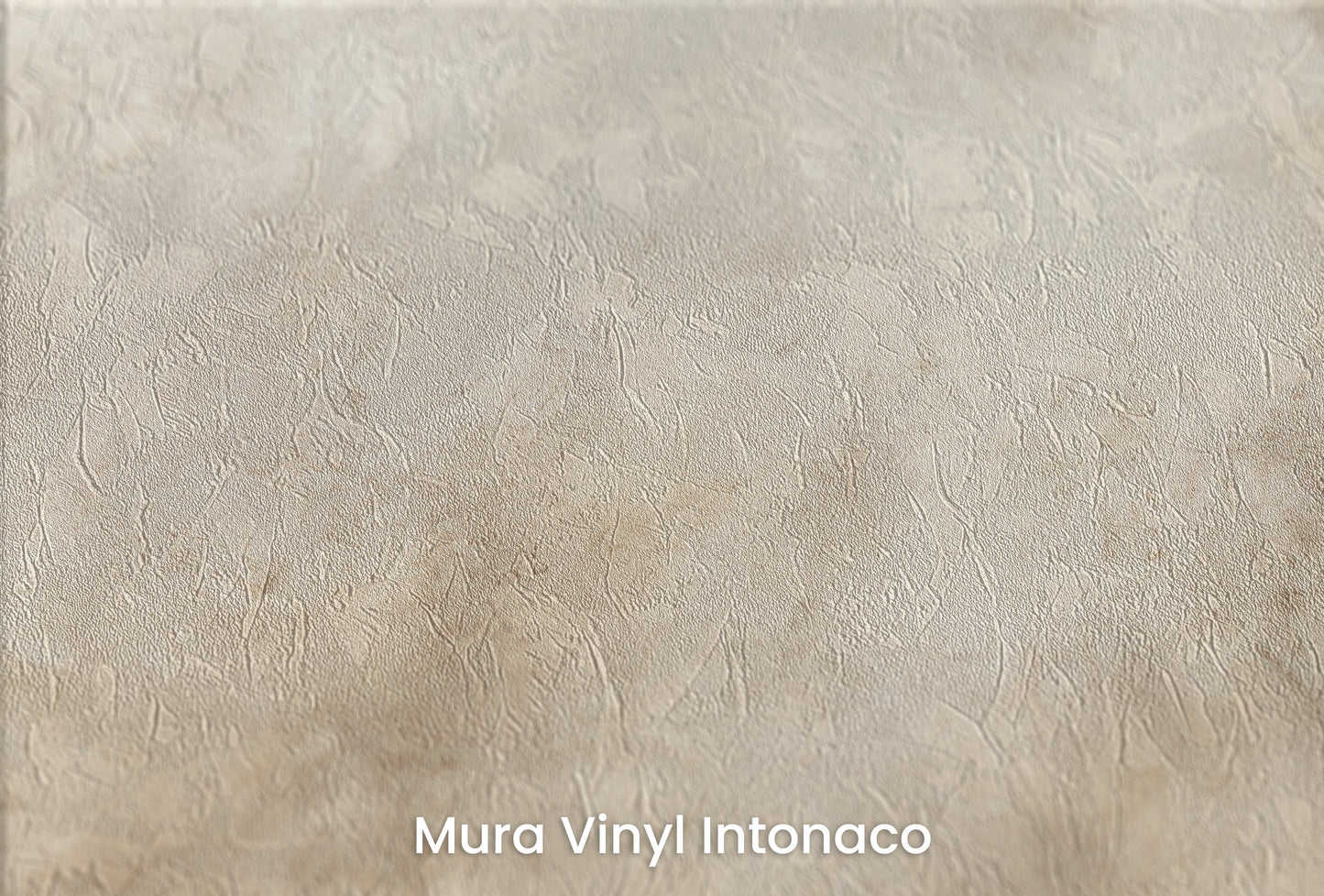 Zbliżenie na artystyczną fototapetę o nazwie DAWN'S TRANQUIL LIGHT CANVAS na podłożu Mura Vinyl Intonaco - struktura tartego tynku.
