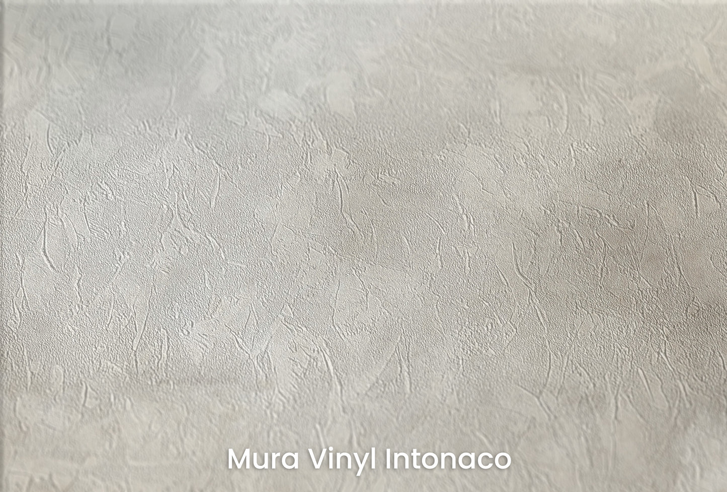 Zbliżenie na artystyczną fototapetę o nazwie DIVINE LIGHT MURAL CANVAS na podłożu Mura Vinyl Intonaco - struktura tartego tynku.