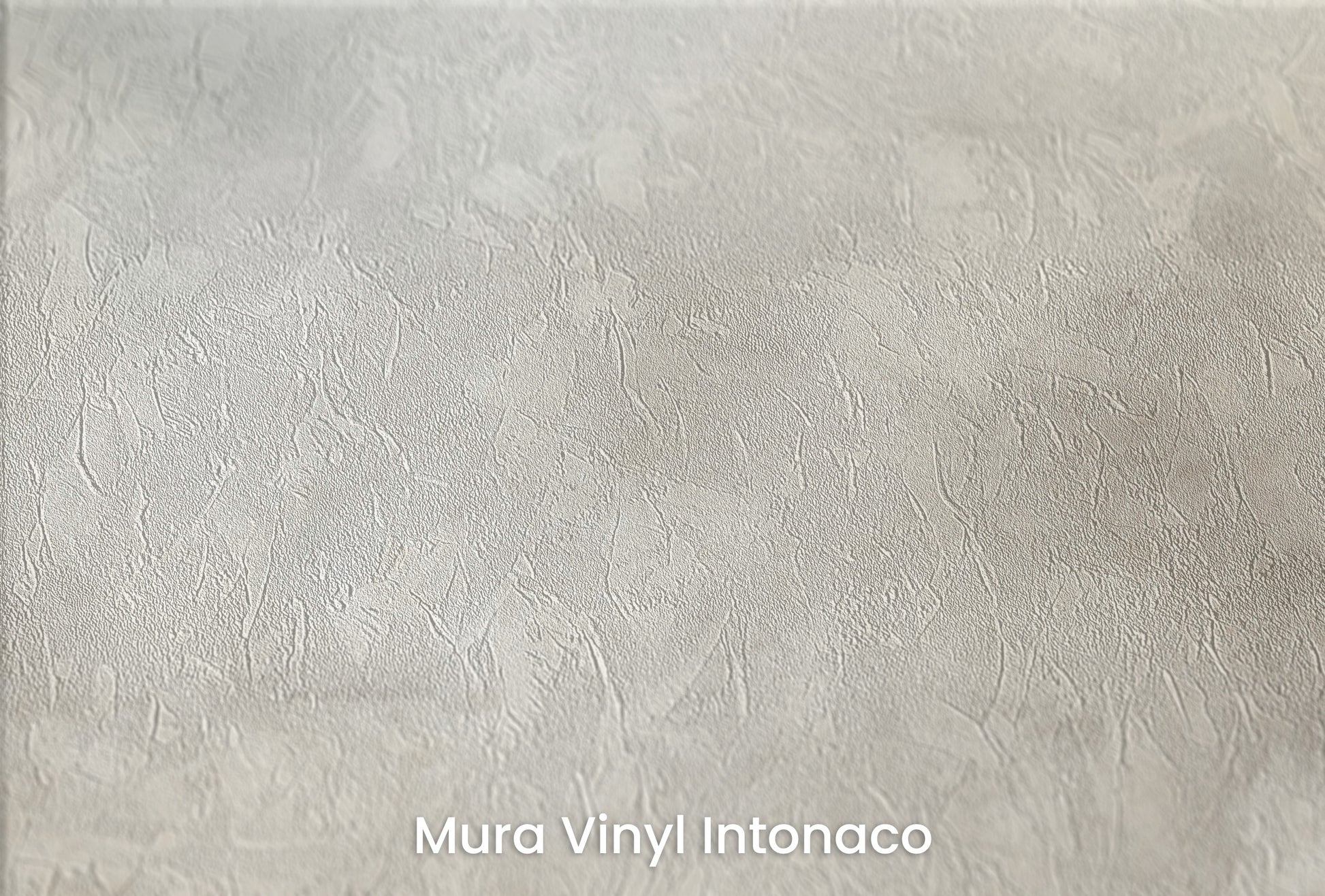 Zbliżenie na artystyczną fototapetę o nazwie DIVINE LIGHT MURAL CANVAS na podłożu Mura Vinyl Intonaco - struktura tartego tynku.