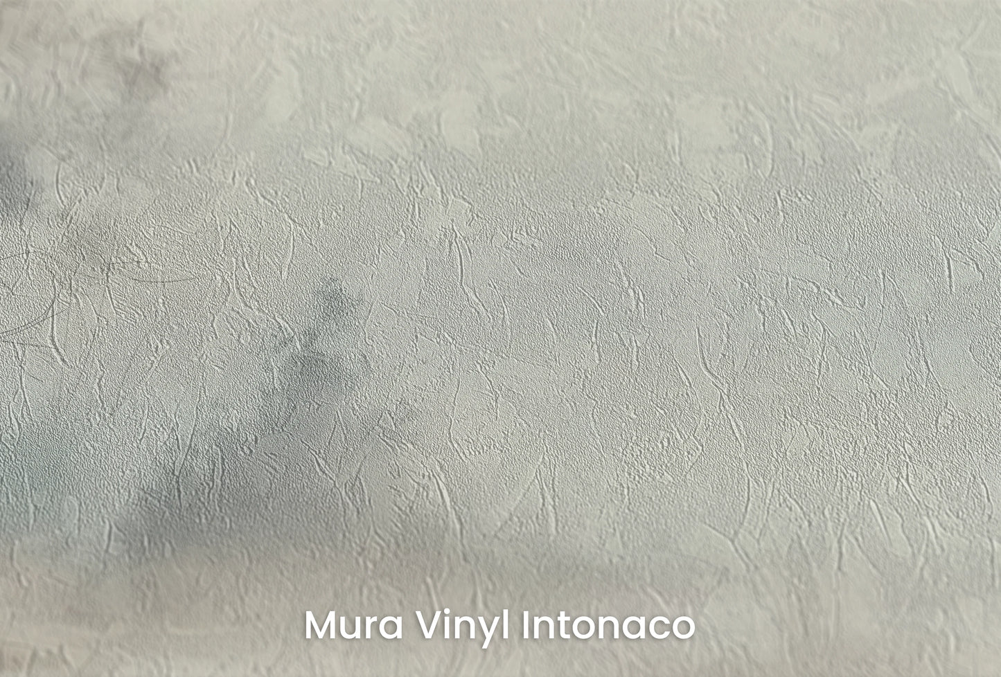 Zbliżenie na artystyczną fototapetę o nazwie Poranna Delikatność #2 na podłożu Mura Vinyl Intonaco - struktura tartego tynku.
