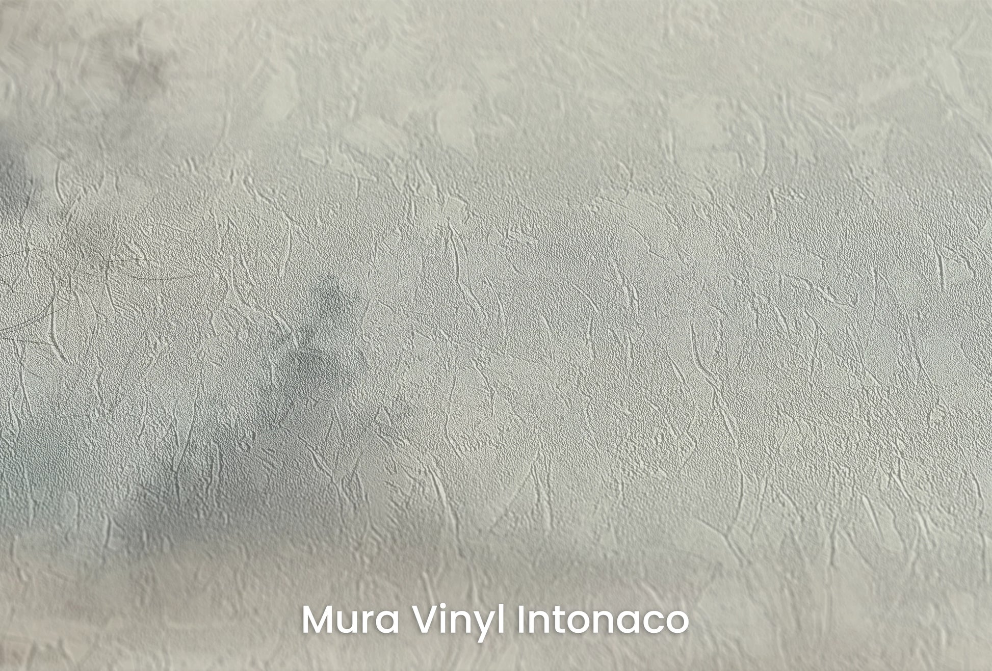 Zbliżenie na artystyczną fototapetę o nazwie Poranna Delikatność #2 na podłożu Mura Vinyl Intonaco - struktura tartego tynku.