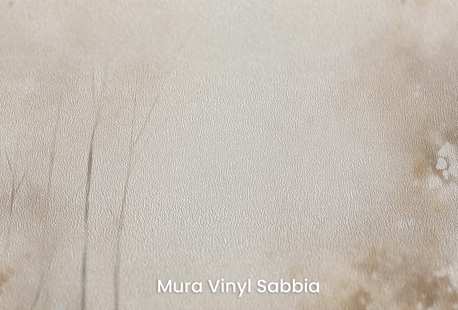 Zbliżenie na artystyczną fototapetę o nazwie AUTUMN WHISPERS MURAL na podłożu Mura Vinyl Sabbia struktura grubego ziarna piasku.