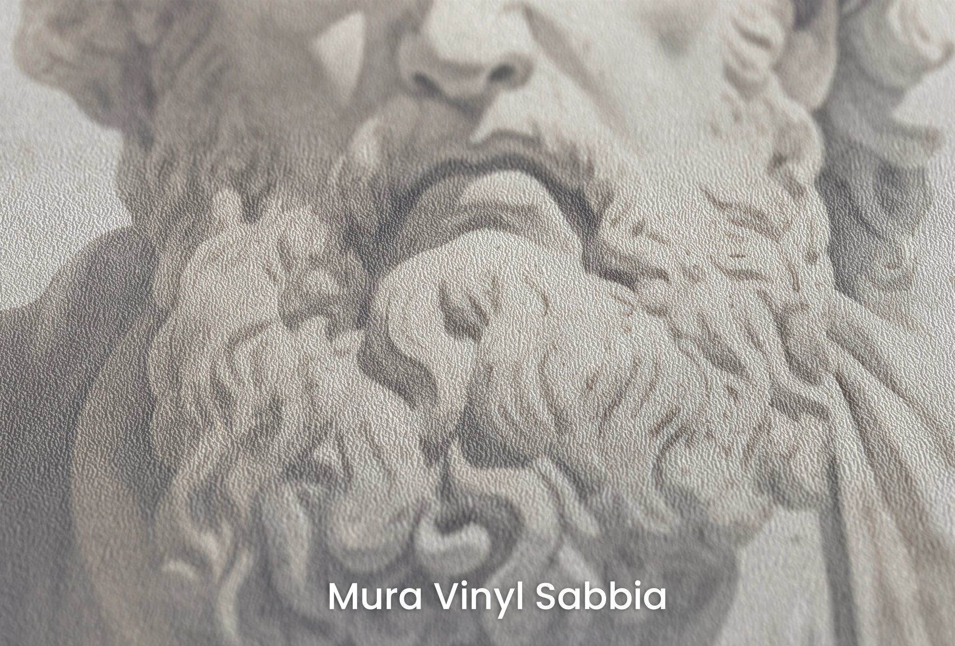 Zbliżenie na artystyczną fototapetę o nazwie Stoic Wisdom na podłożu Mura Vinyl Sabbia struktura grubego ziarna piasku.