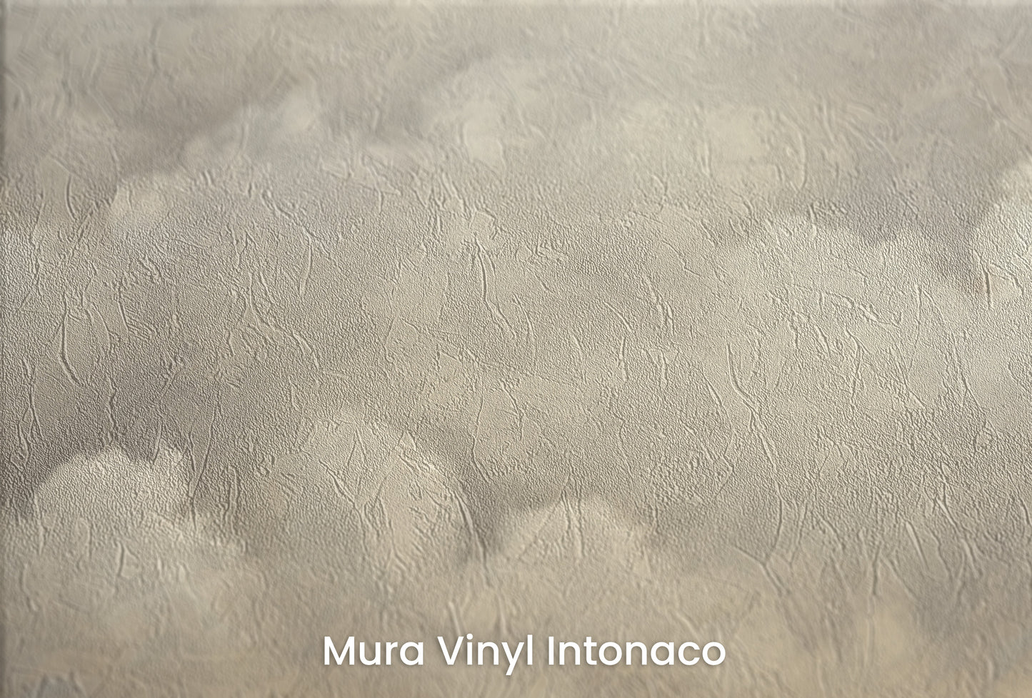 Zbliżenie na artystyczną fototapetę o nazwie STORM'S EDGE CANVAS na podłożu Mura Vinyl Intonaco - struktura tartego tynku.