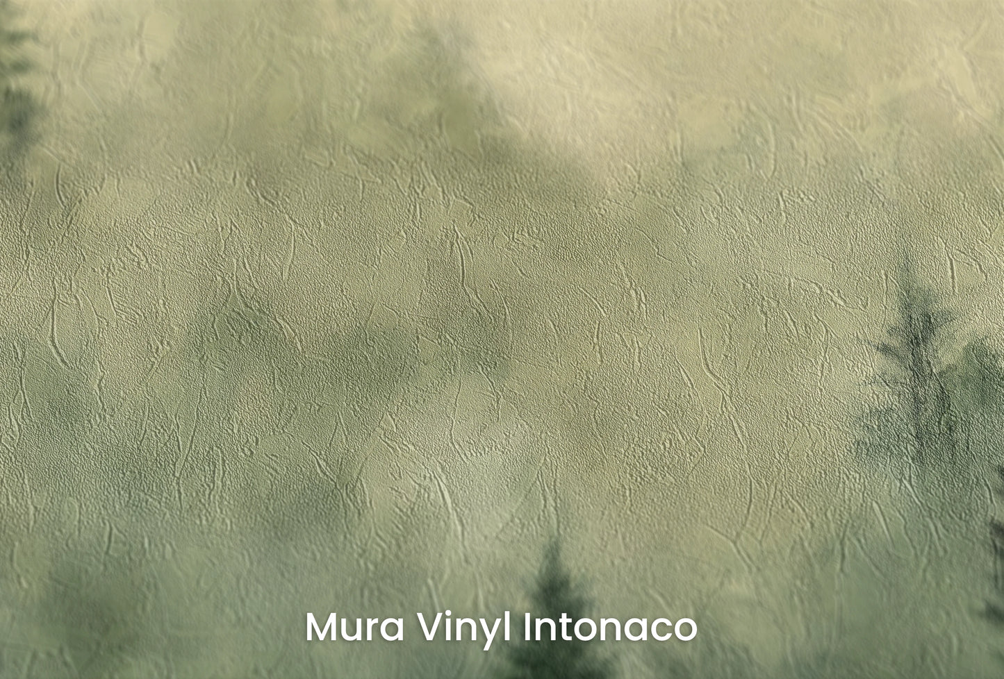 Zbliżenie na artystyczną fototapetę o nazwie Tajemniczy Las na podłożu Mura Vinyl Intonaco - struktura tartego tynku.