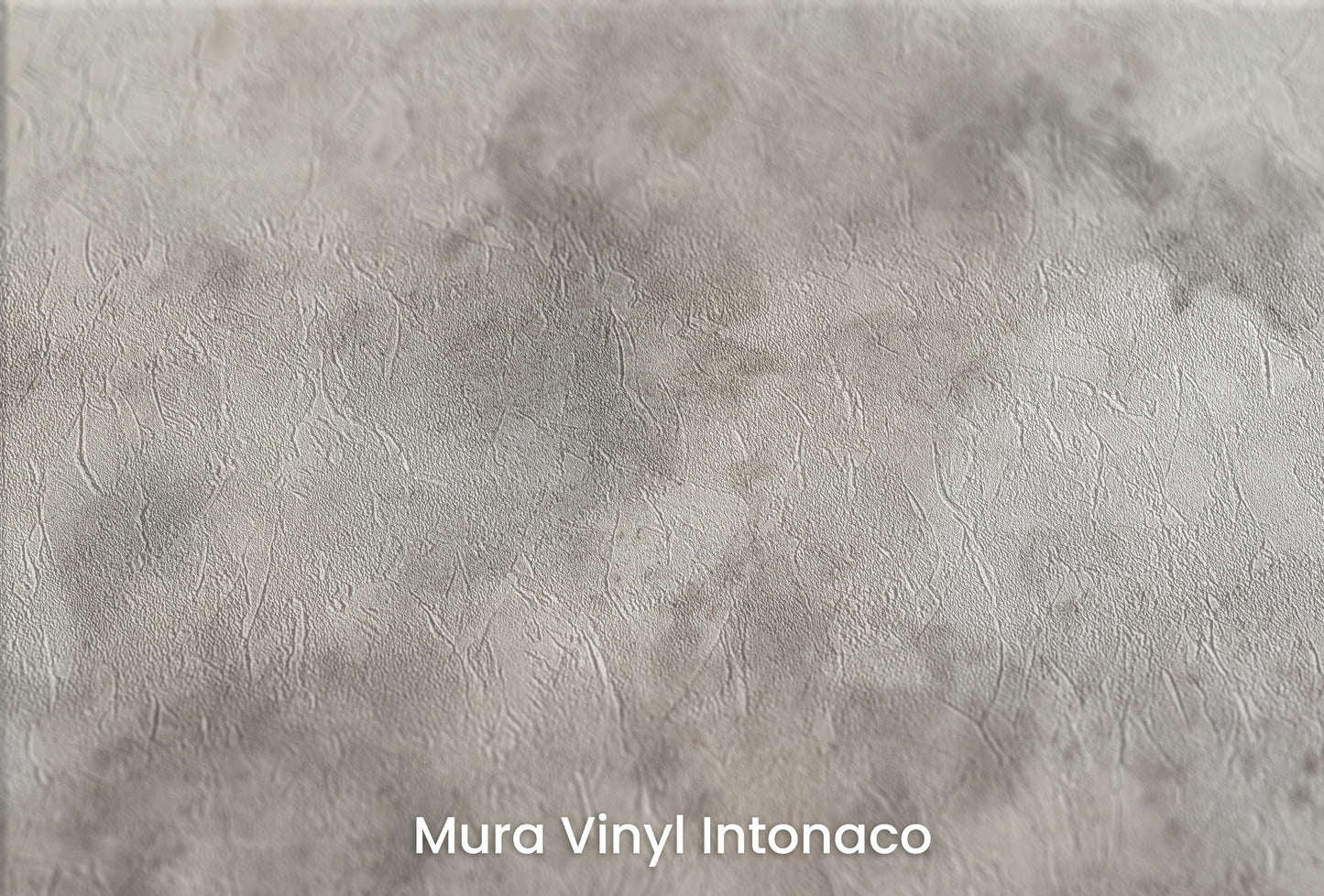 Zbliżenie na artystyczną fototapetę o nazwie WHISPERING STORM CANVAS na podłożu Mura Vinyl Intonaco - struktura tartego tynku.
