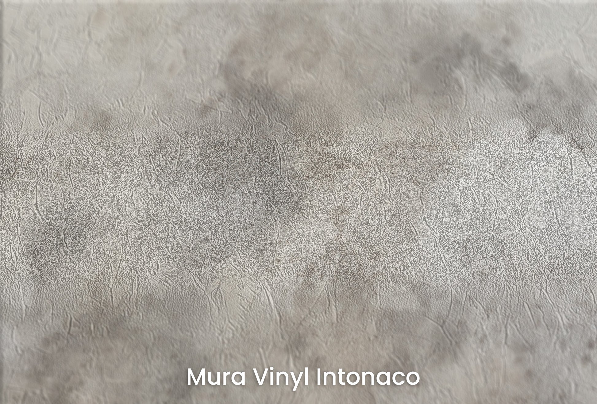 Zbliżenie na artystyczną fototapetę o nazwie WHISPERING STORM CANVAS na podłożu Mura Vinyl Intonaco - struktura tartego tynku.