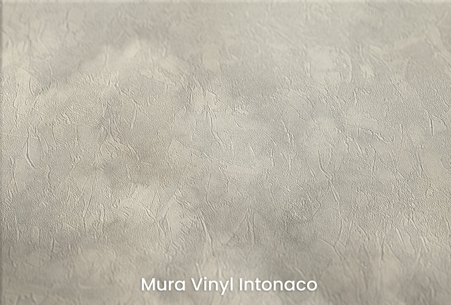 Zbliżenie na artystyczną fototapetę o nazwie MISTY REALM CANVAS na podłożu Mura Vinyl Intonaco - struktura tartego tynku.