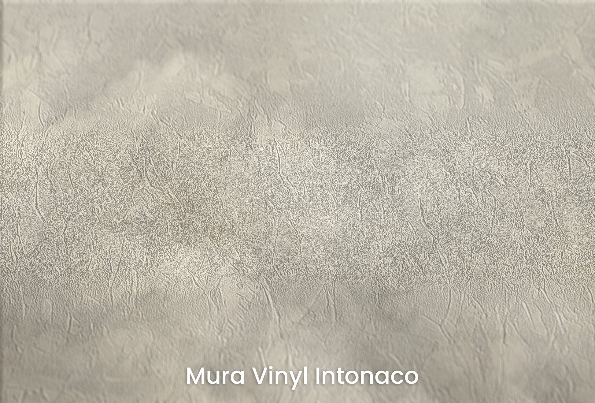 Zbliżenie na artystyczną fototapetę o nazwie MISTY REALM CANVAS na podłożu Mura Vinyl Intonaco - struktura tartego tynku.