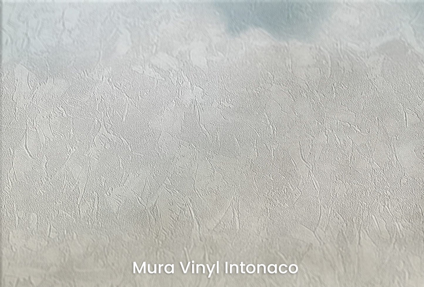 Zbliżenie na artystyczną fototapetę o nazwie CLOUDY EMINENCE CANVAS na podłożu Mura Vinyl Intonaco - struktura tartego tynku.