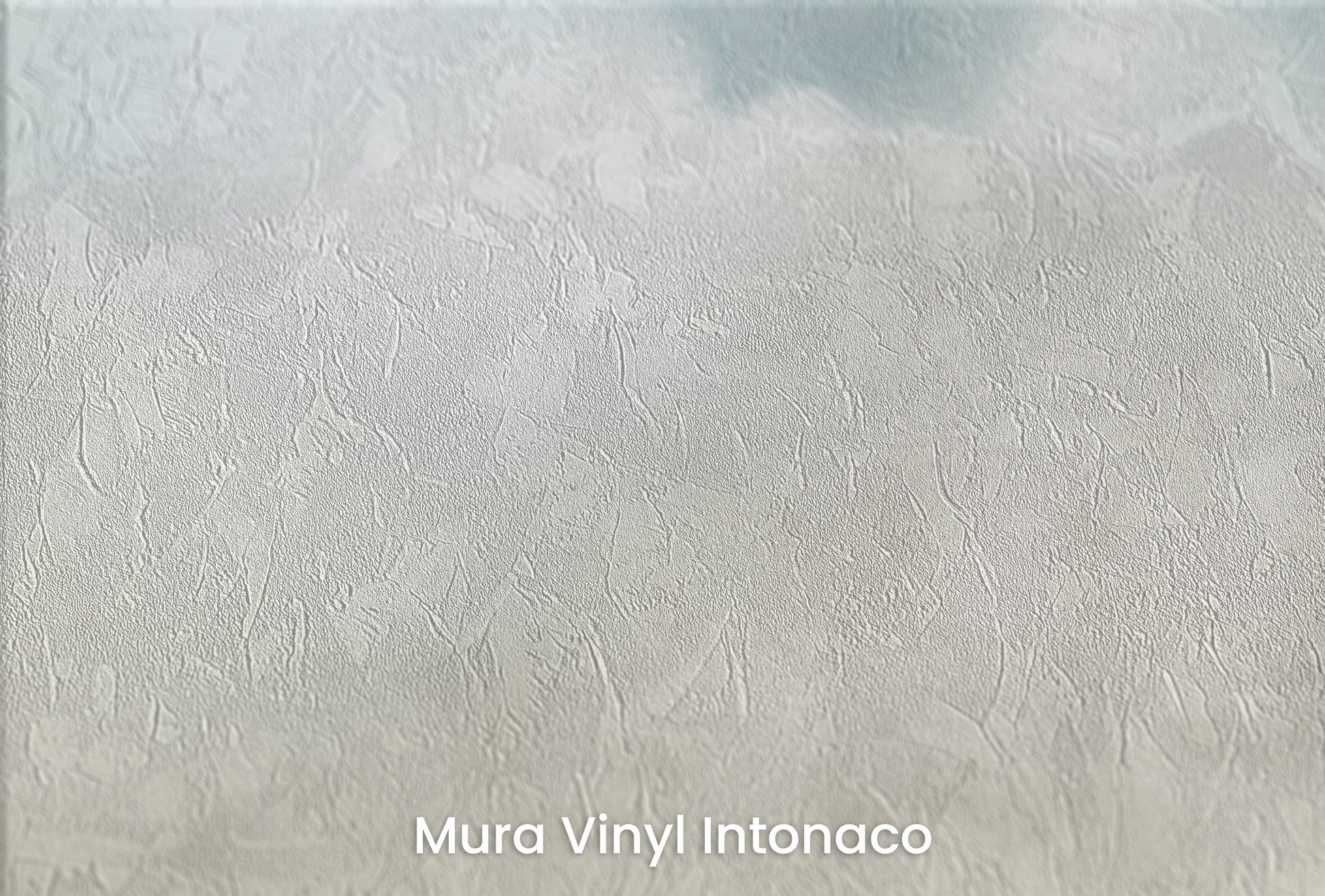 Zbliżenie na artystyczną fototapetę o nazwie CLOUDY EMINENCE CANVAS na podłożu Mura Vinyl Intonaco - struktura tartego tynku.