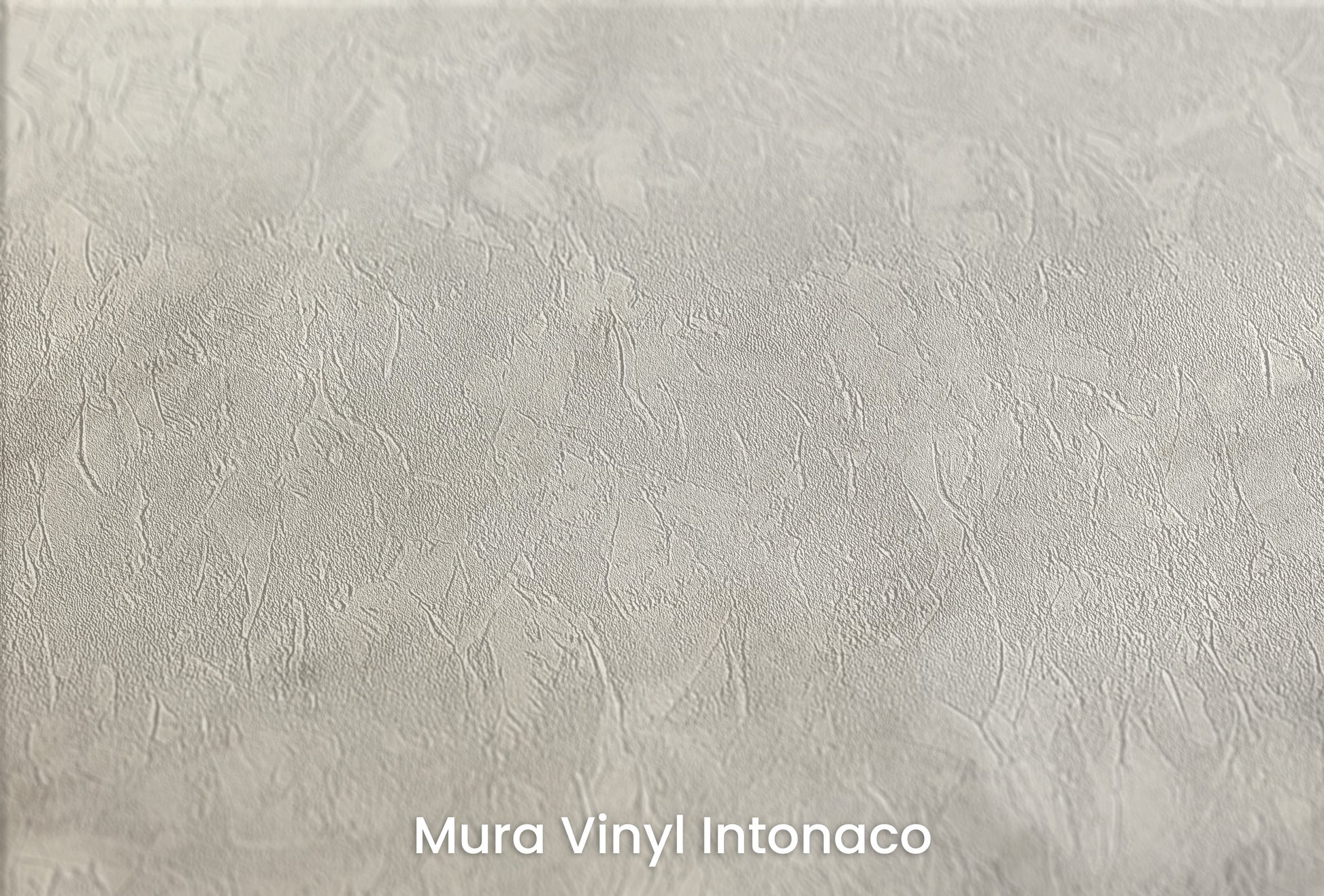 Zbliżenie na artystyczną fototapetę o nazwie LUMINOUS MIST CANVAS na podłożu Mura Vinyl Intonaco - struktura tartego tynku.