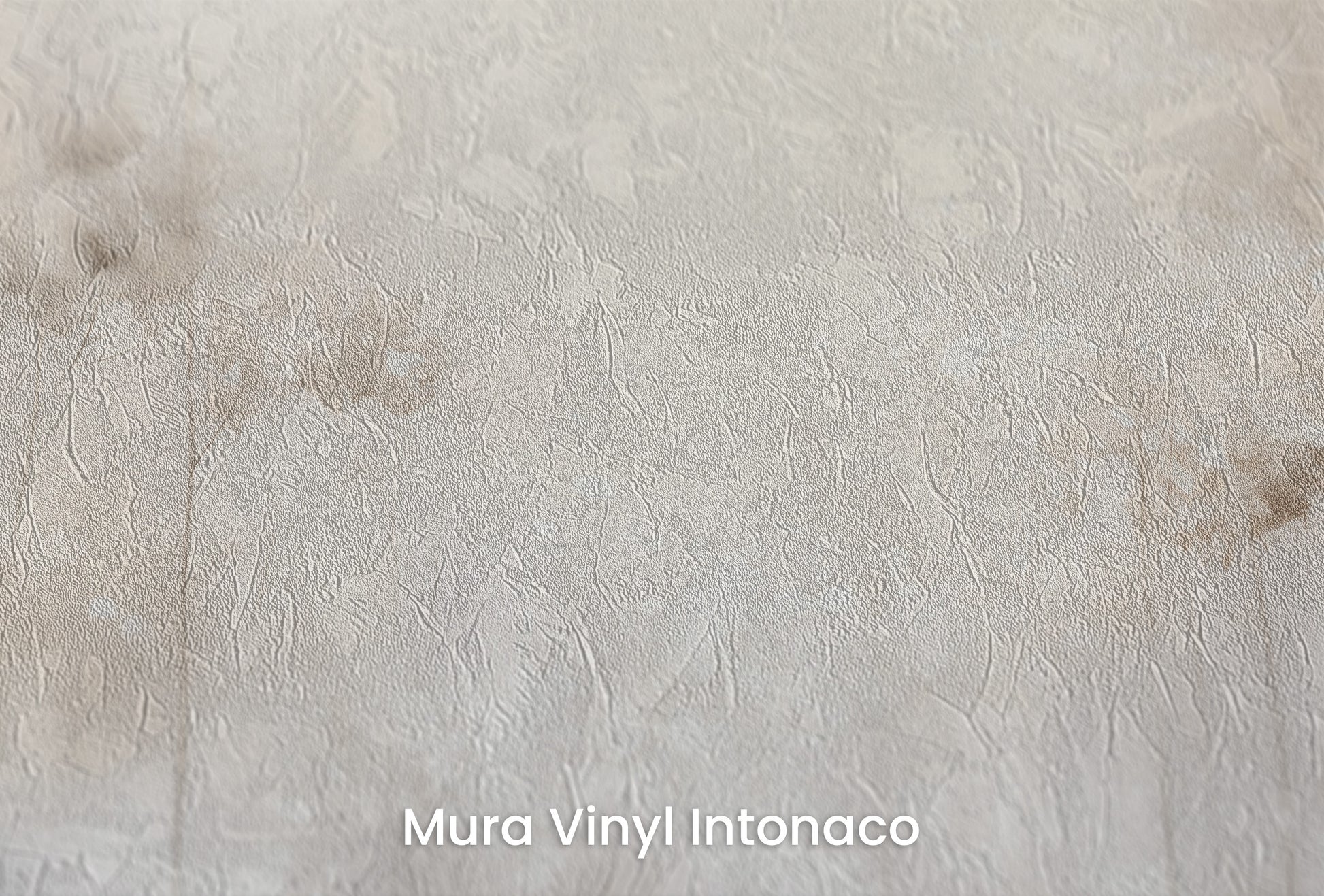 Zbliżenie na artystyczną fototapetę o nazwie ETHEREAL GARDEN GLIMMER na podłożu Mura Vinyl Intonaco - struktura tartego tynku.