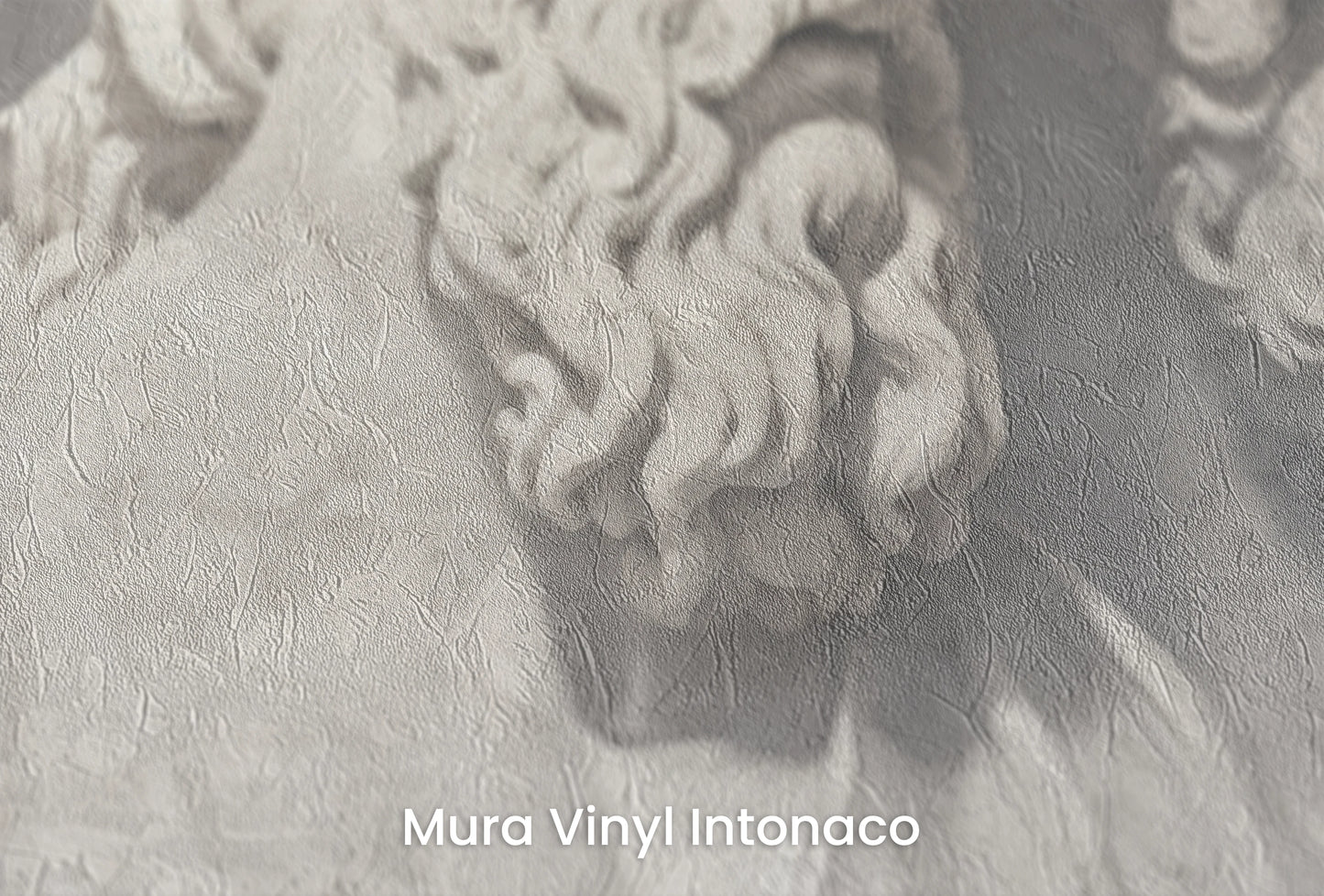 Zbliżenie na artystyczną fototapetę o nazwie Divine Gaze na podłożu Mura Vinyl Intonaco - struktura tartego tynku.