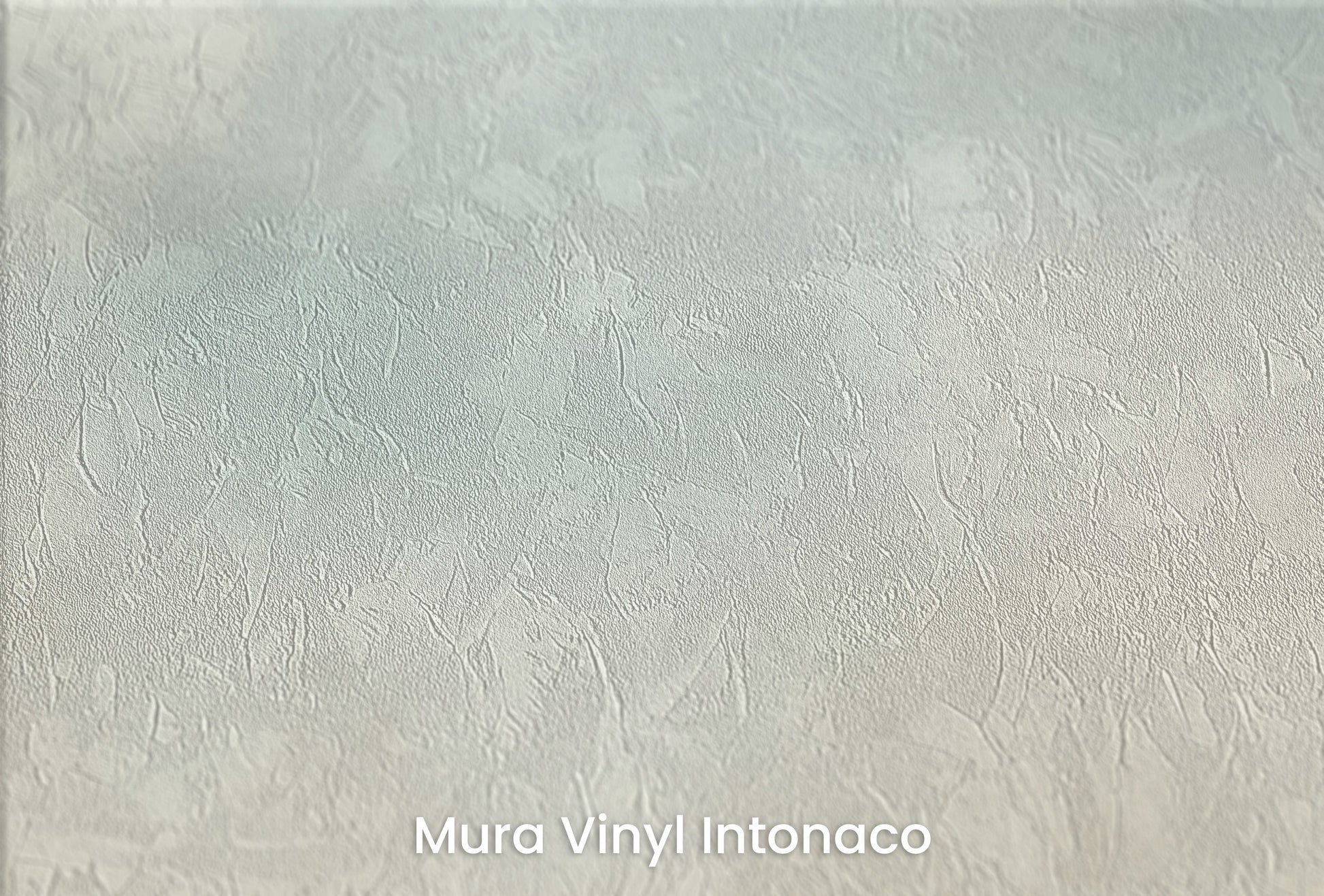 Zbliżenie na artystyczną fototapetę o nazwie SERENE SKYLINE CANVAS na podłożu Mura Vinyl Intonaco - struktura tartego tynku.