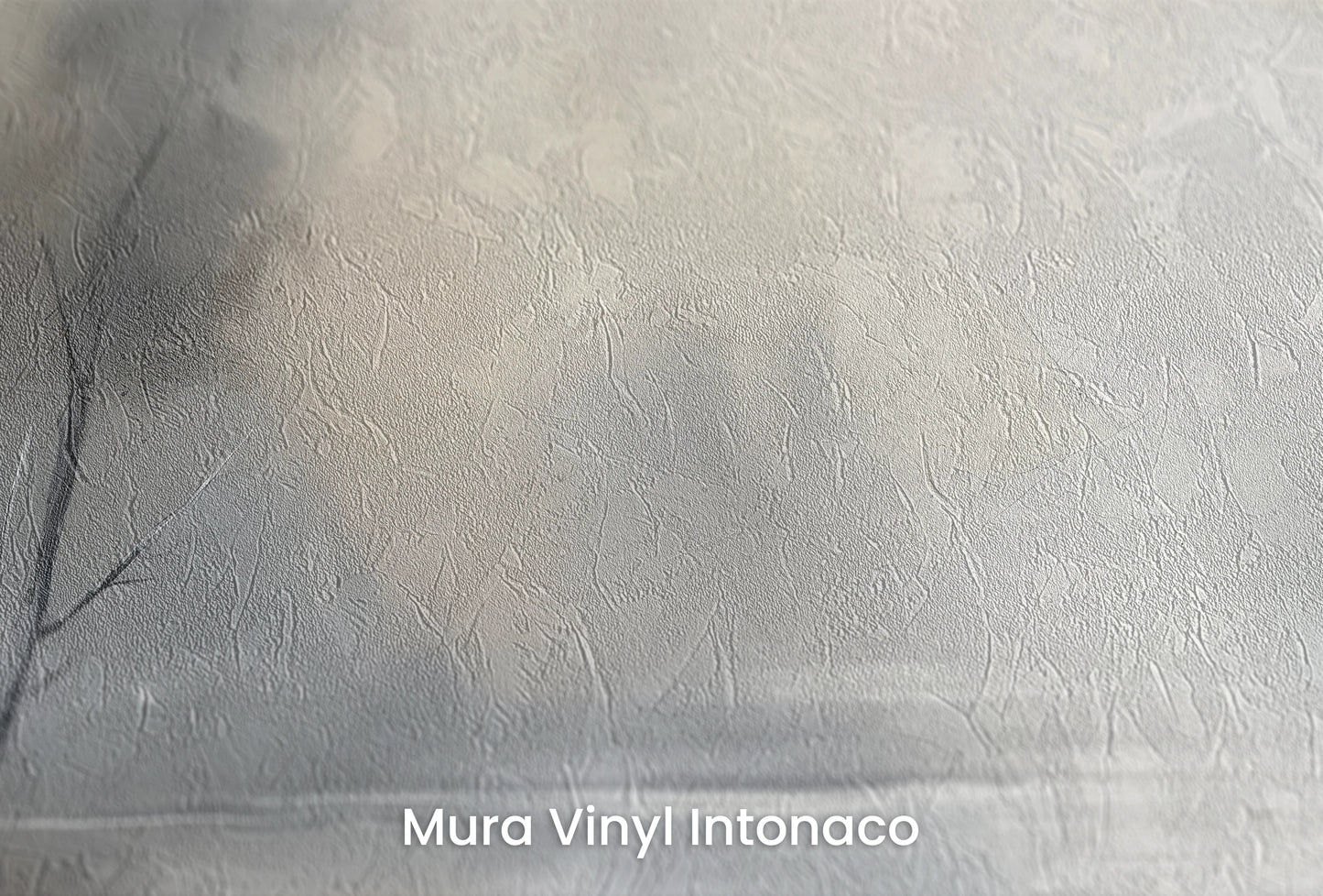 Zbliżenie na artystyczną fototapetę o nazwie Brzeg Mgły na podłożu Mura Vinyl Intonaco - struktura tartego tynku.