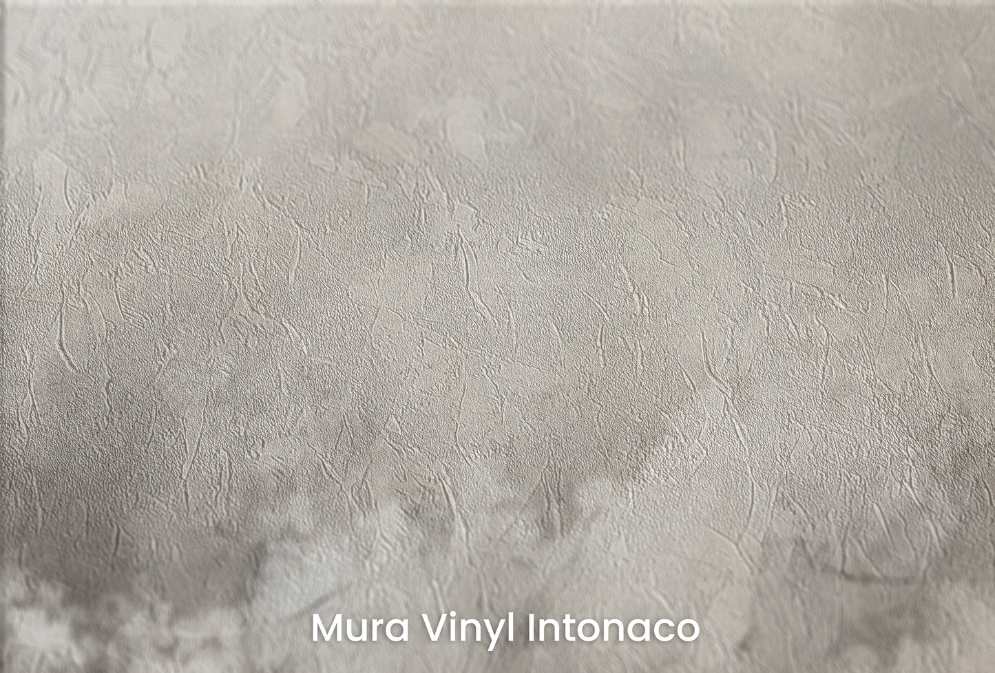 Zbliżenie na artystyczną fototapetę o nazwie MONOCHROME MISTIQUE na podłożu Mura Vinyl Intonaco - struktura tartego tynku.