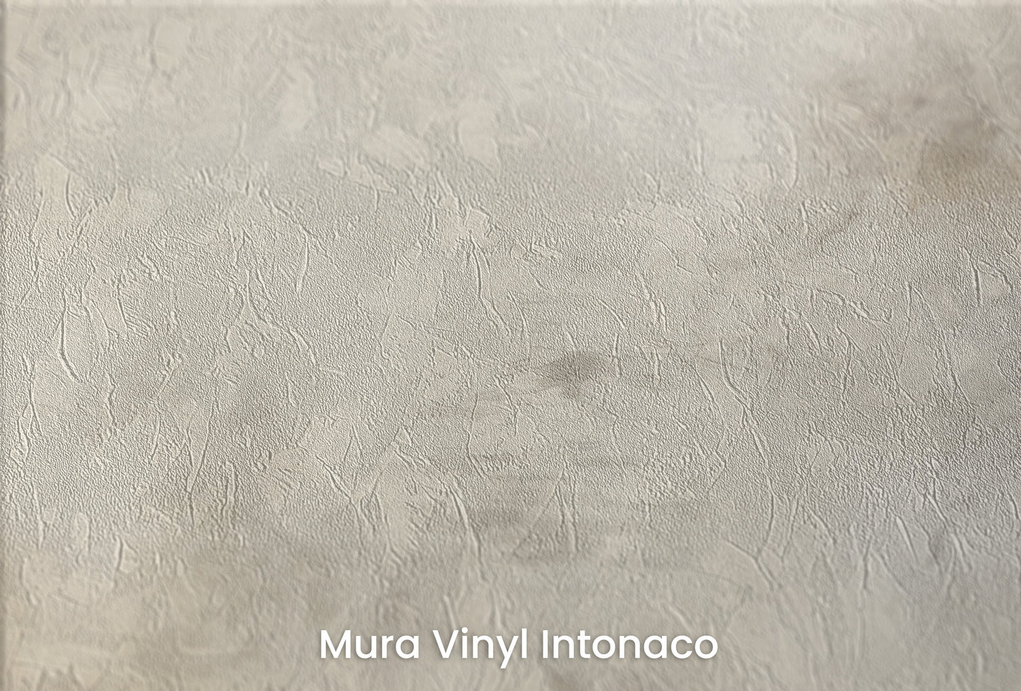 Zbliżenie na artystyczną fototapetę o nazwie WHISPERING CLOUD WALTZ na podłożu Mura Vinyl Intonaco - struktura tartego tynku.