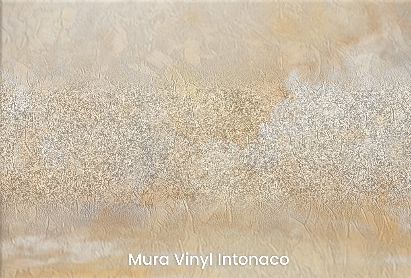 Zbliżenie na artystyczną fototapetę o nazwie GOLDEN HORIZON AWE na podłożu Mura Vinyl Intonaco - struktura tartego tynku.