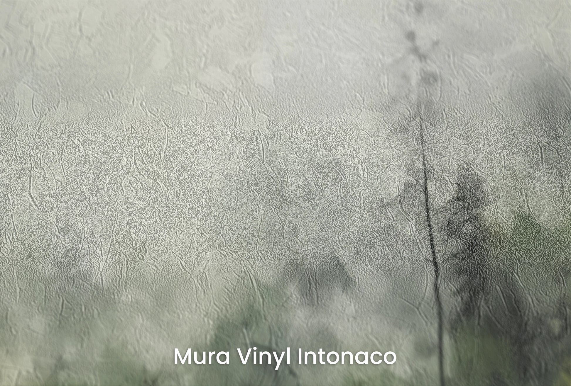 Zbliżenie na artystyczną fototapetę o nazwie Leśna Melancholia na podłożu Mura Vinyl Intonaco - struktura tartego tynku.
