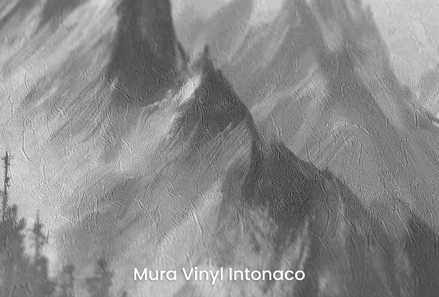 Zbliżenie na artystyczną fototapetę o nazwie Monochrome Mystique na podłożu Mura Vinyl Intonaco - struktura tartego tynku.