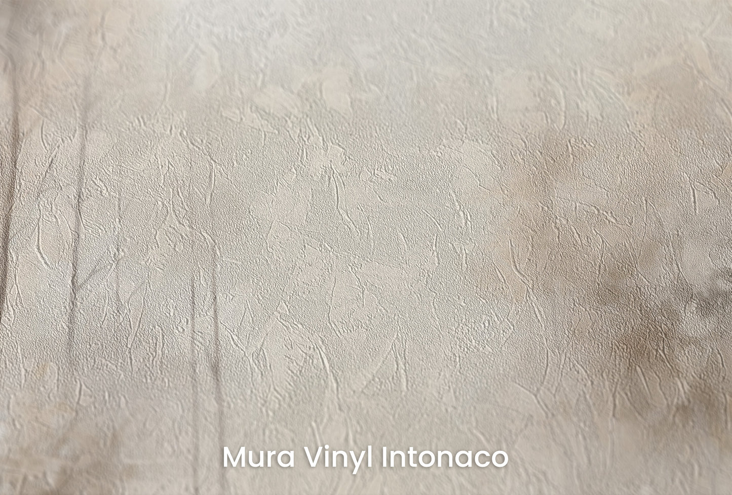 Zbliżenie na artystyczną fototapetę o nazwie WHISPERING TRANQUILITY MURAL na podłożu Mura Vinyl Intonaco - struktura tartego tynku.