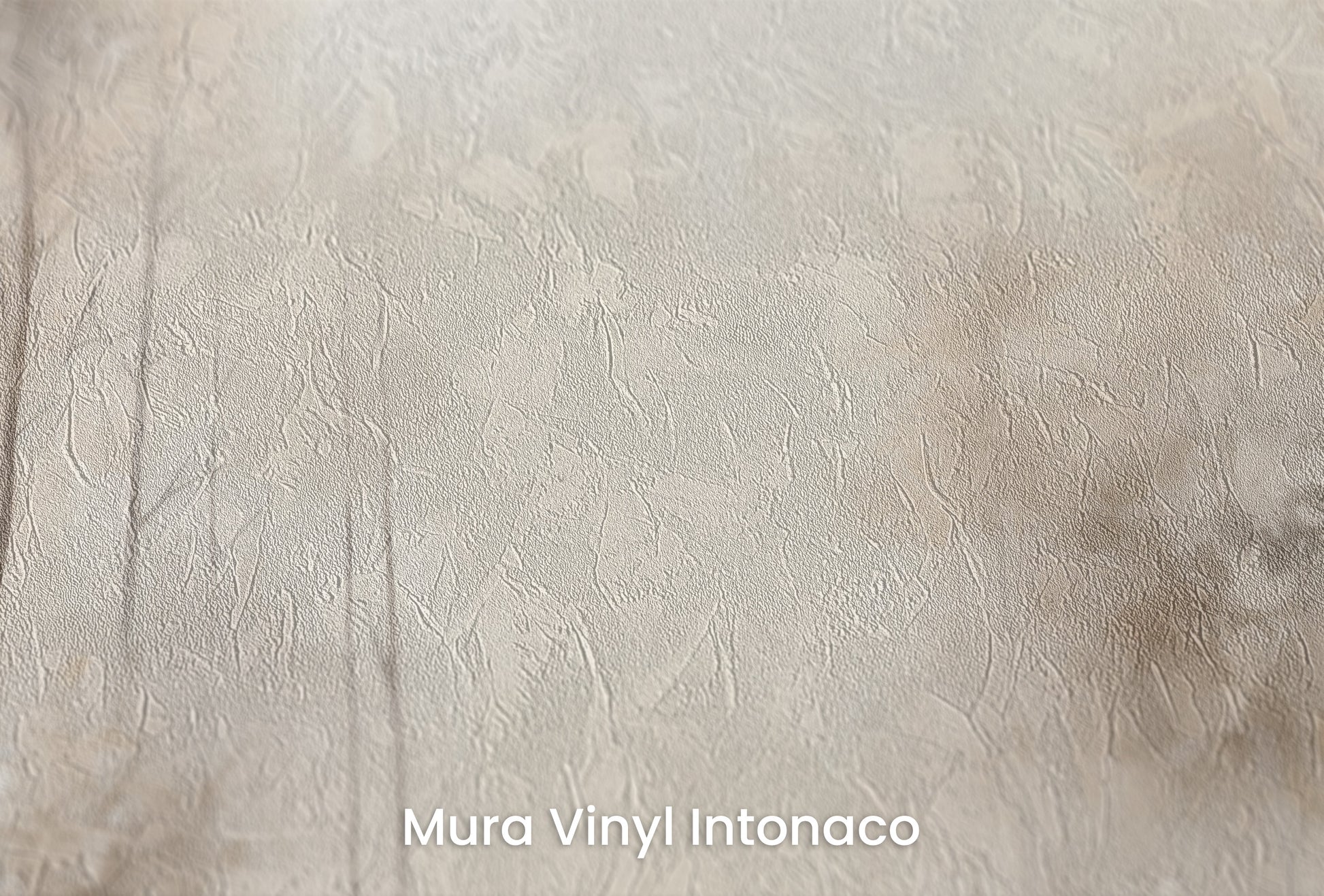 Zbliżenie na artystyczną fototapetę o nazwie WHISPERING TRANQUILITY MURAL na podłożu Mura Vinyl Intonaco - struktura tartego tynku.